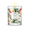 Handpoured 60 hour votive Apricot wax Soleil peach nectar candle by A Pleasant Thought