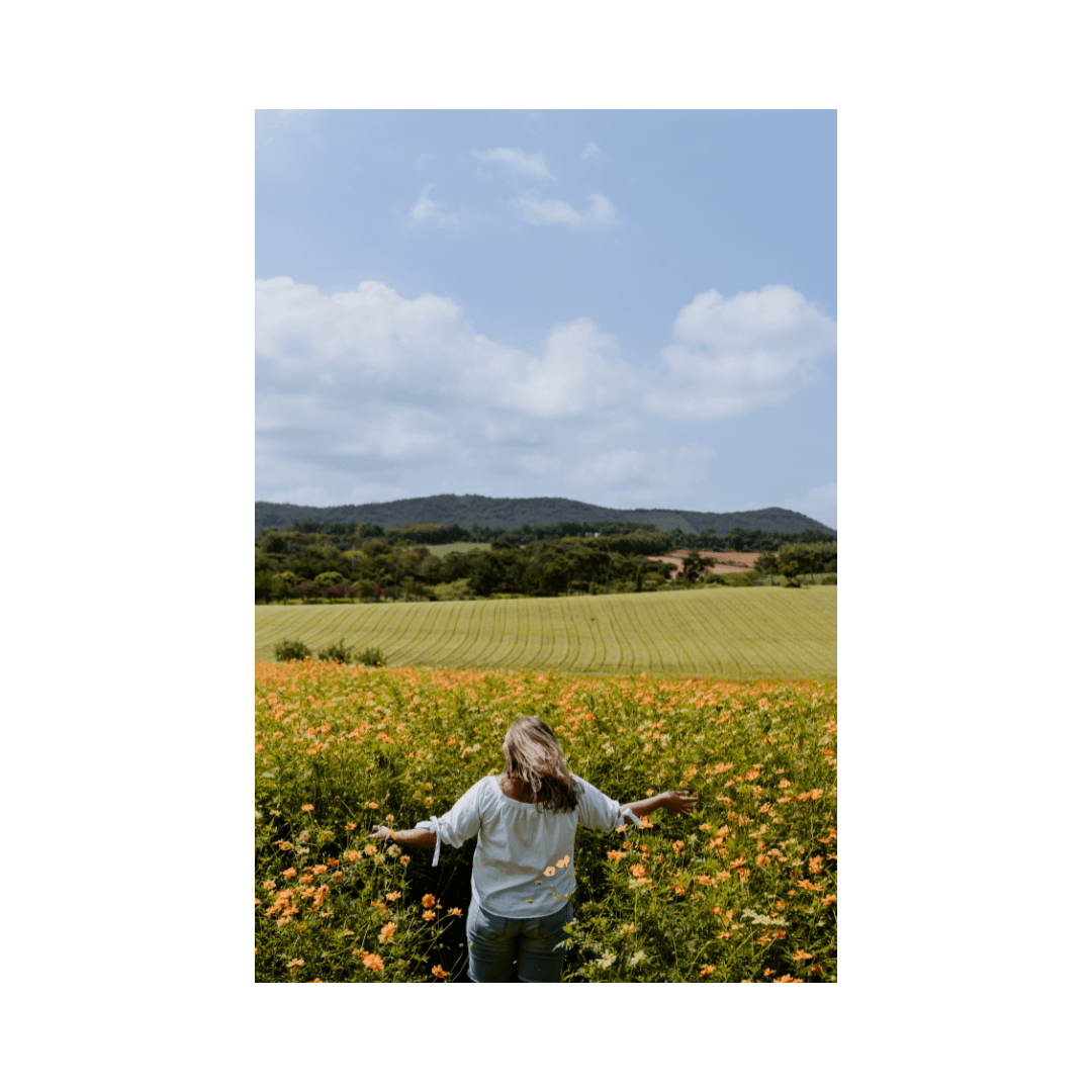 A women walks through a Spring field blooming with fresh flowers of the season. A beautful sunny day with mountains in the distance