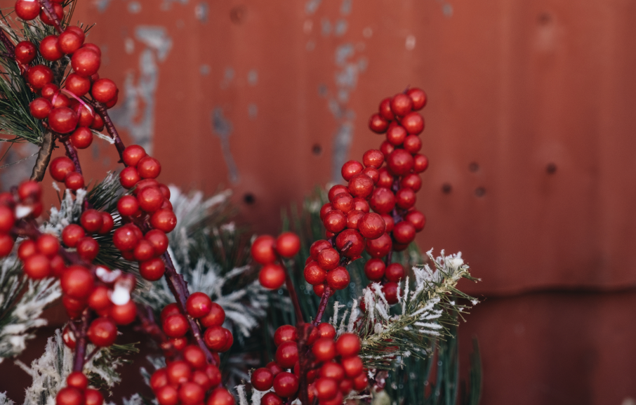 Anxiety Around the Holidays: It's Normal and How to Manage It