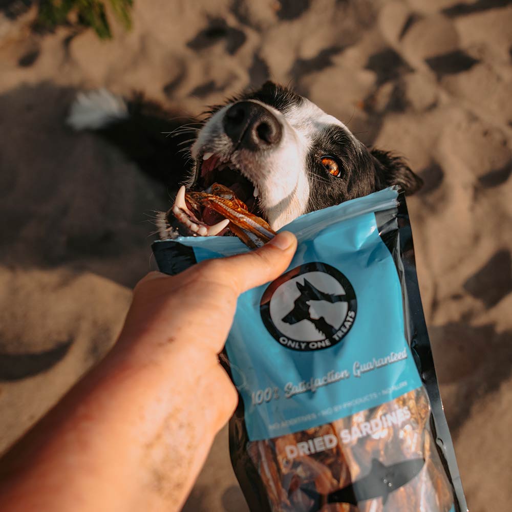 Only One Treats is a Canadian brand built on a simple idea: the best snacks have one ingredient.