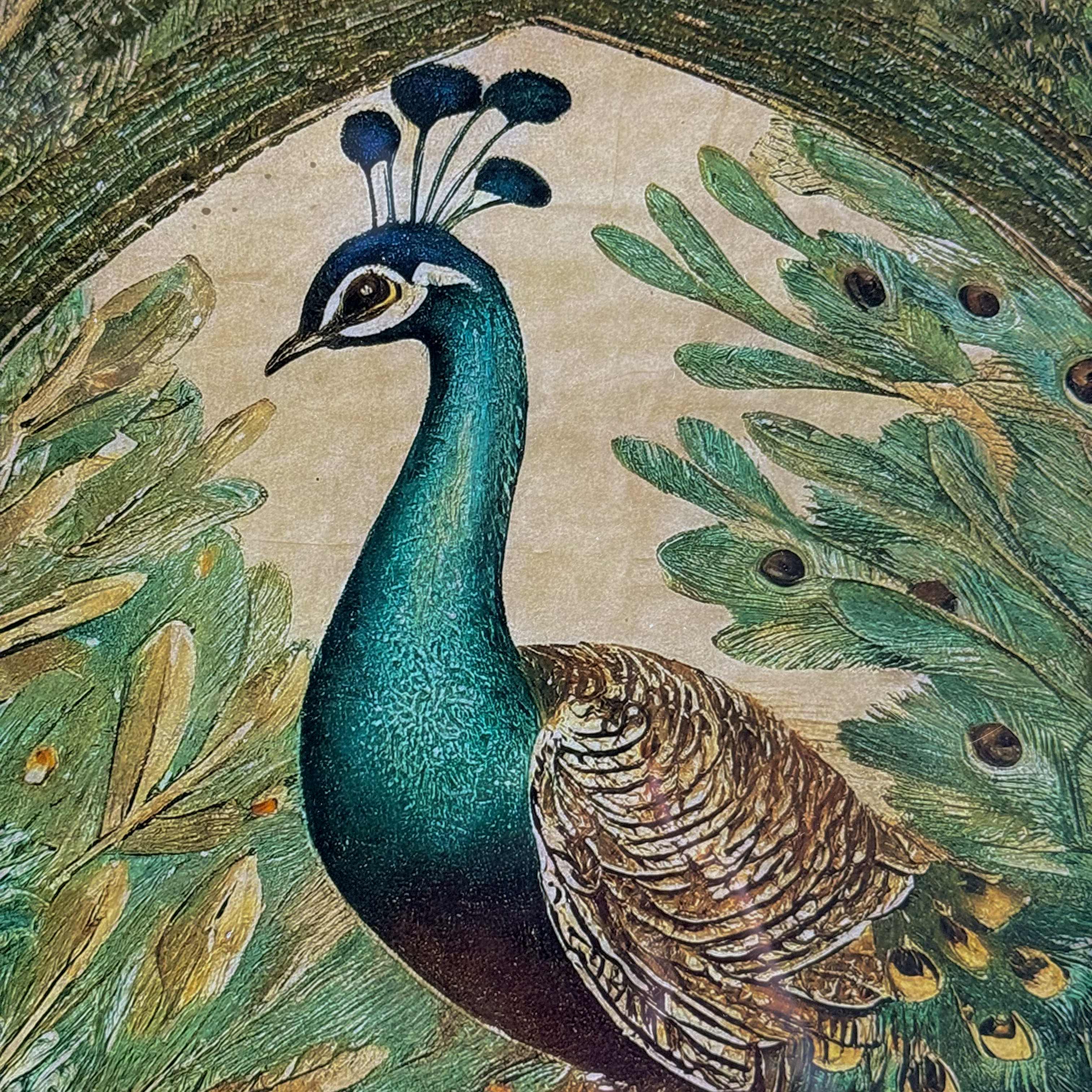 Decorative peacock illustration with foliage on a textured background