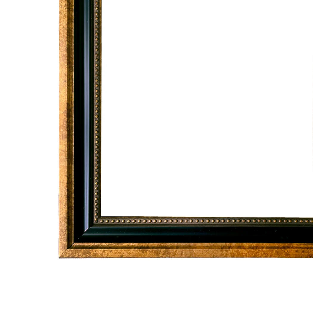 Gold and black picture frame on a white background