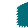 FDA-approved silicone, Catalyst™ Blades and Wedges are great for food crafting teal ridged wedge