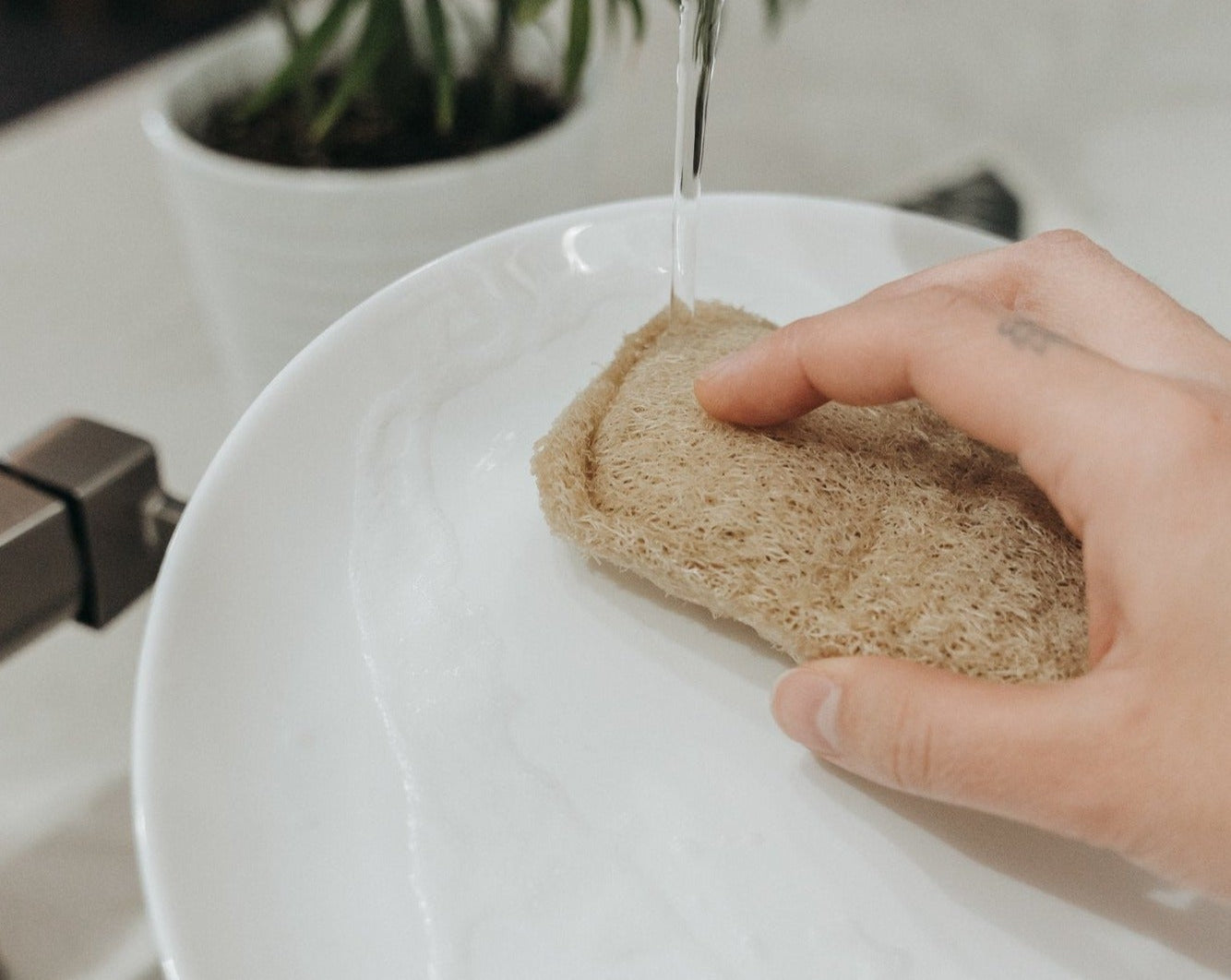 Person washing a white plate with a brown sponge under running water.