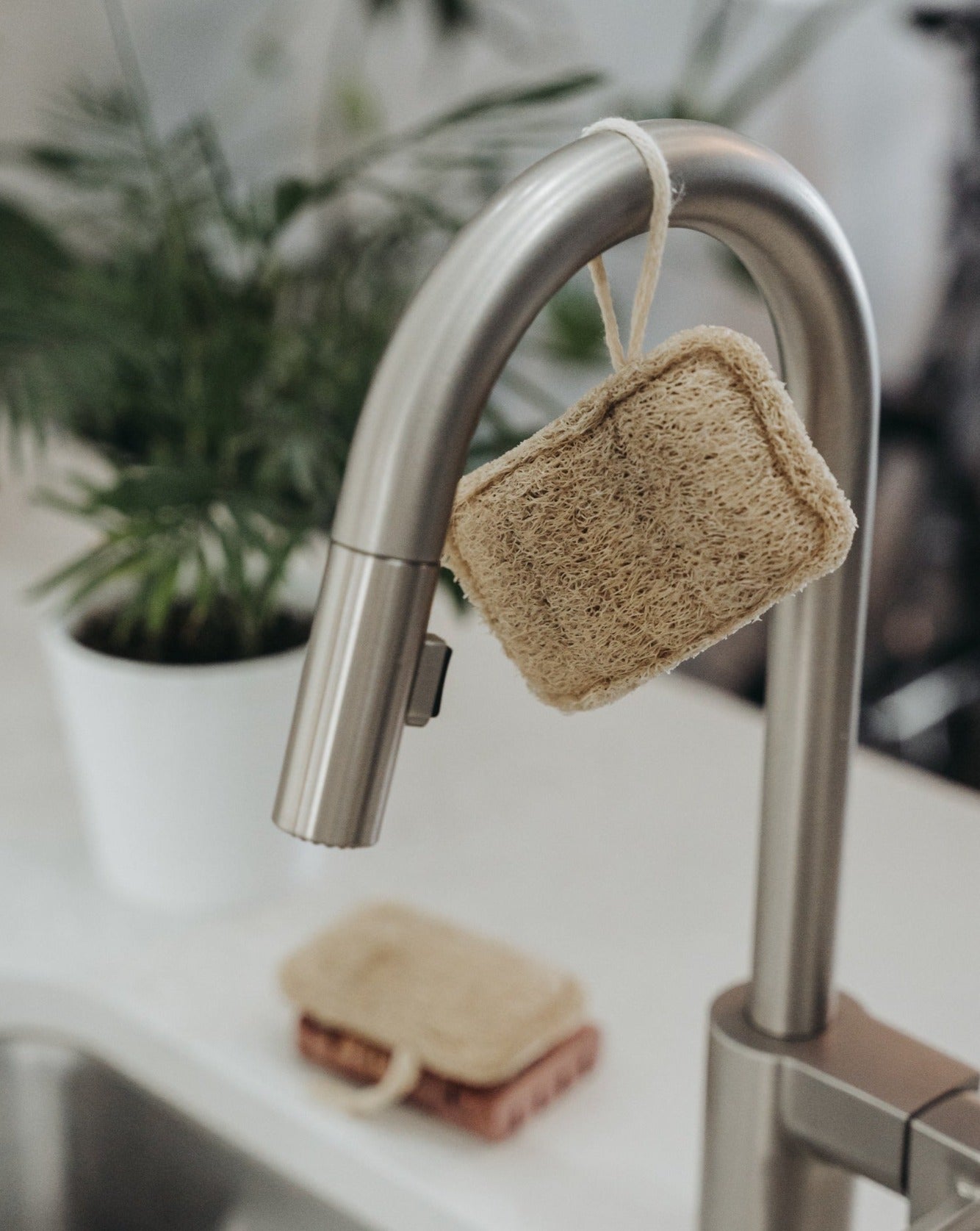 Sponges hanging on a kitchen faucet with a blurred background