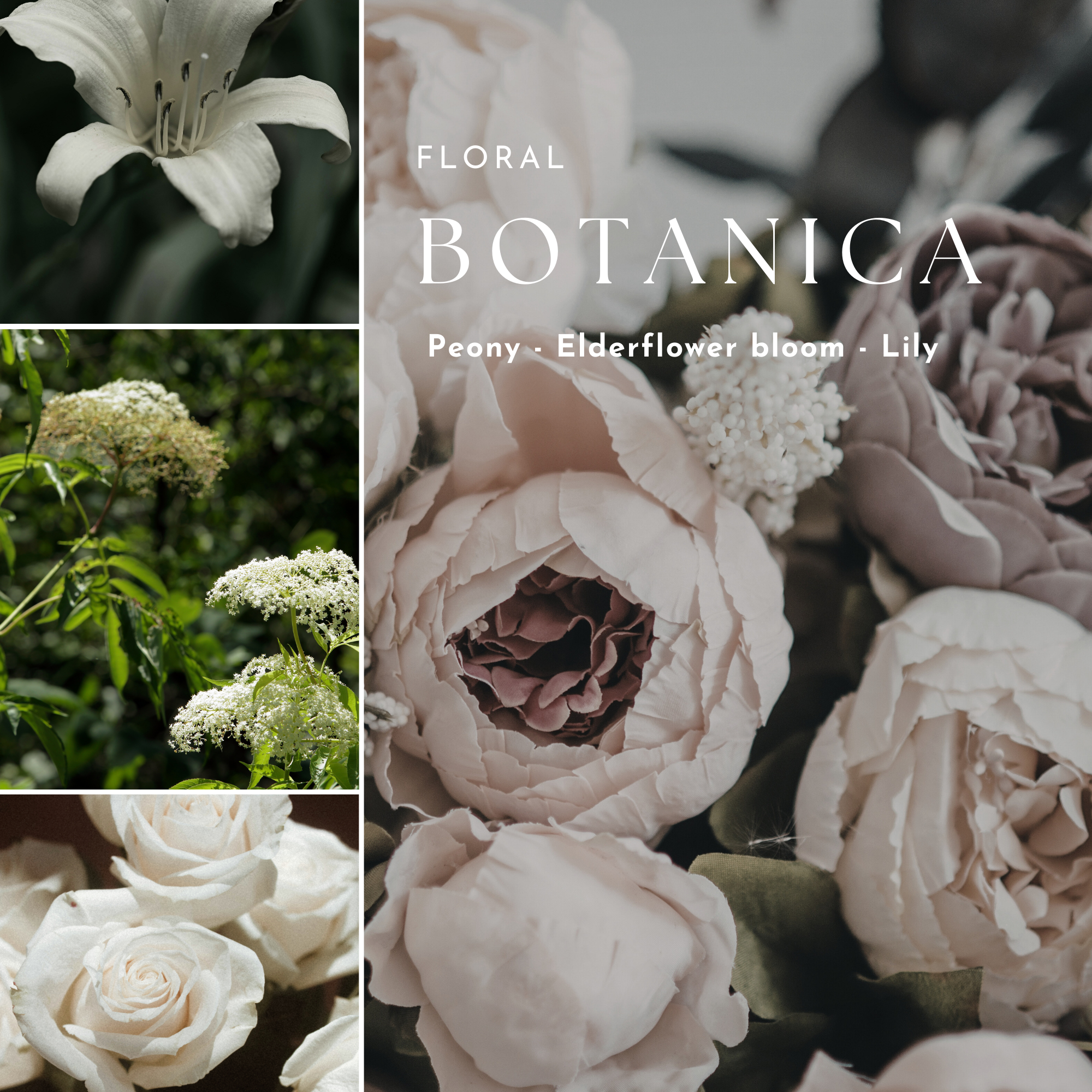 Collage of floral images with 'Floral Botanica' text and flower types listed.
