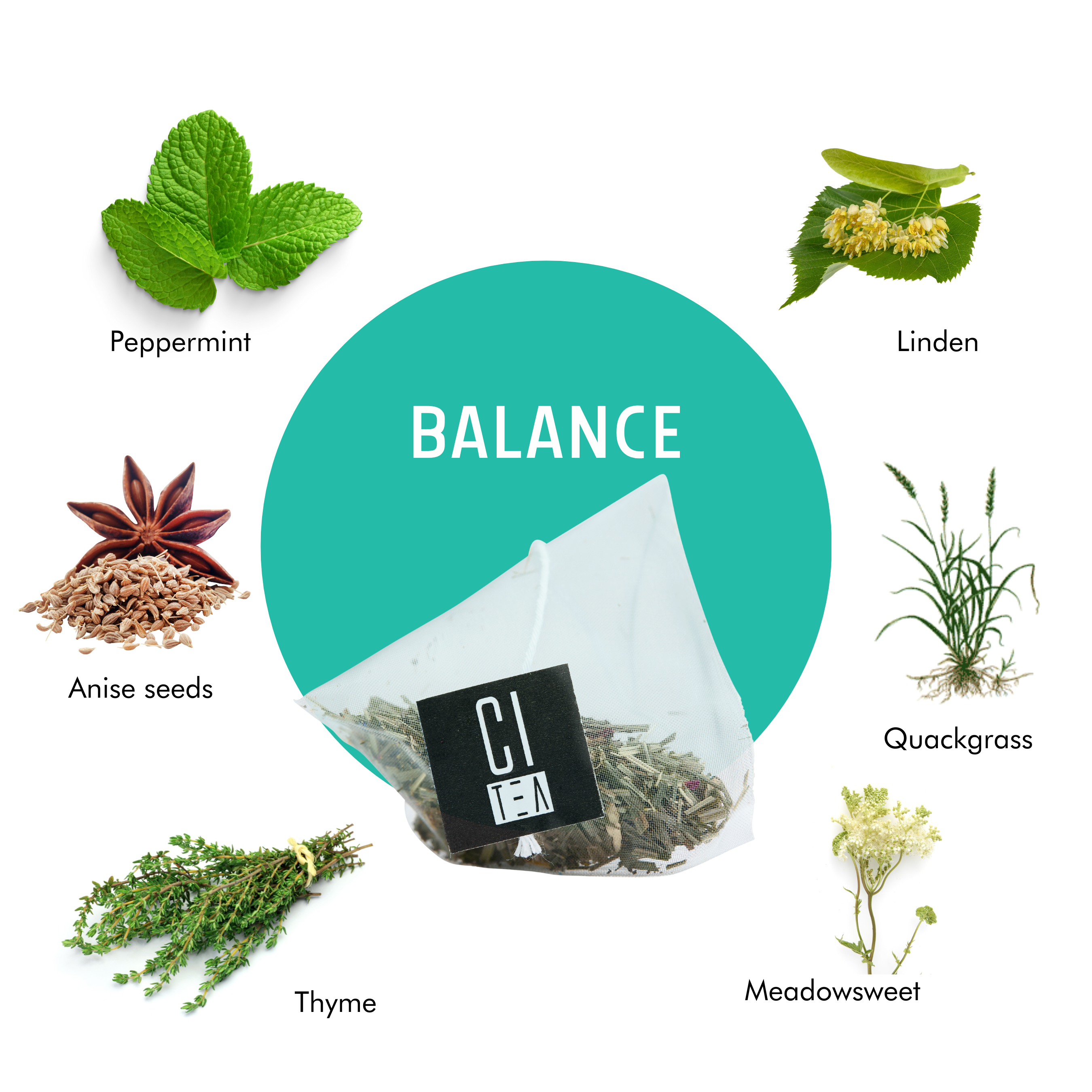 Tea bag labeled 'Balance' with herbs and spices around on a white background