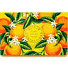 Vibrant packaging of ALICJA SNOW dark chocolate featuring oranges and white flowers, Canadian confectionery, vegan-friendly