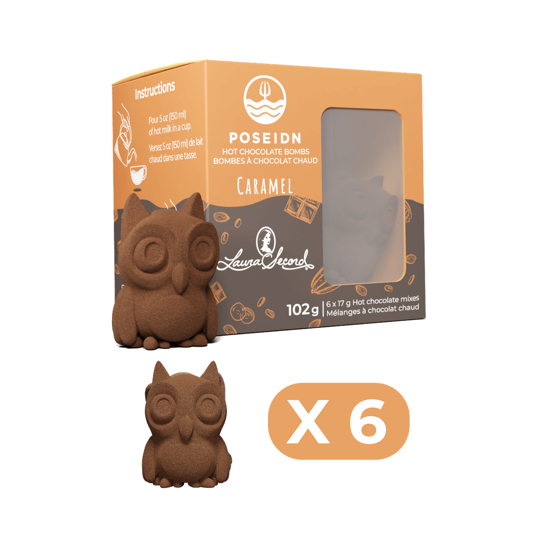 Chocolate owl-shaped hot chocolate bomb with packaging on a black background