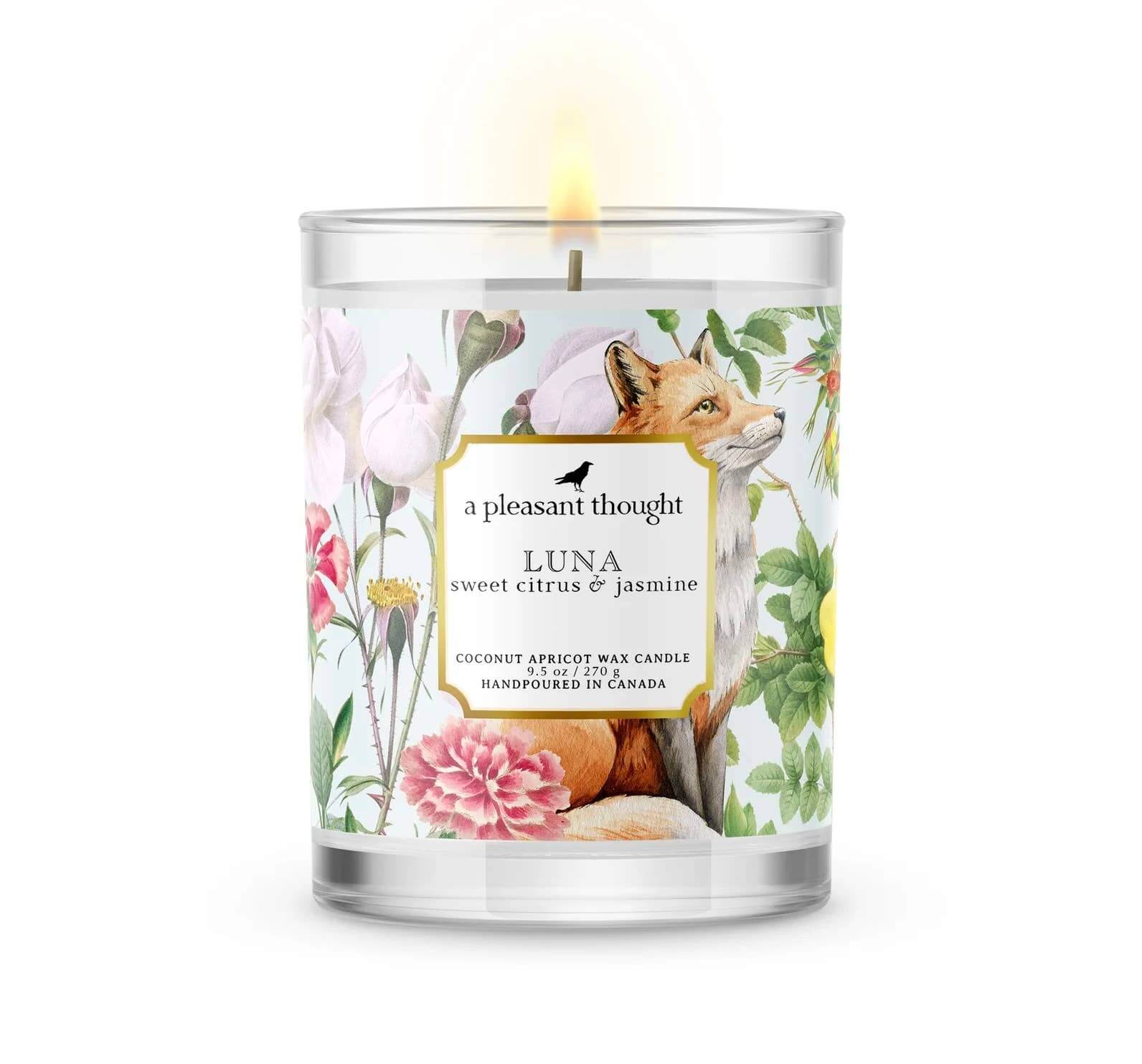 Handpoured Apricot wax candle in Luna fragrance citrus and jasmine by A Pleasant Thought