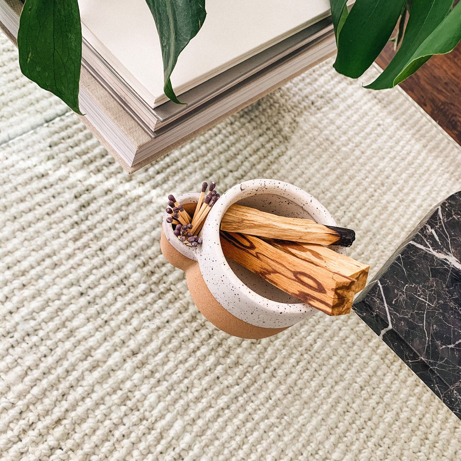 Small terracotta pots with dried plants on a textured surface