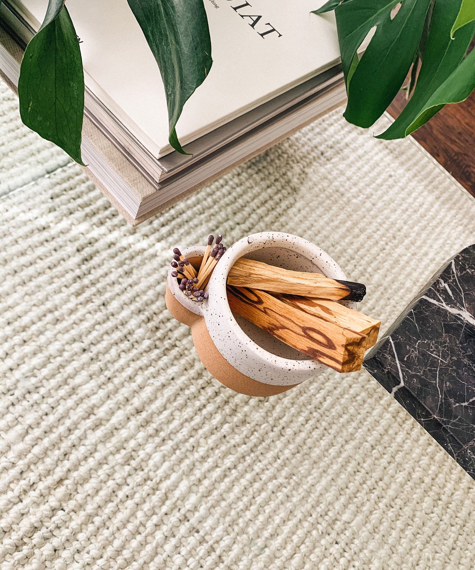 Small terracotta pots with dried plants on a textured surface