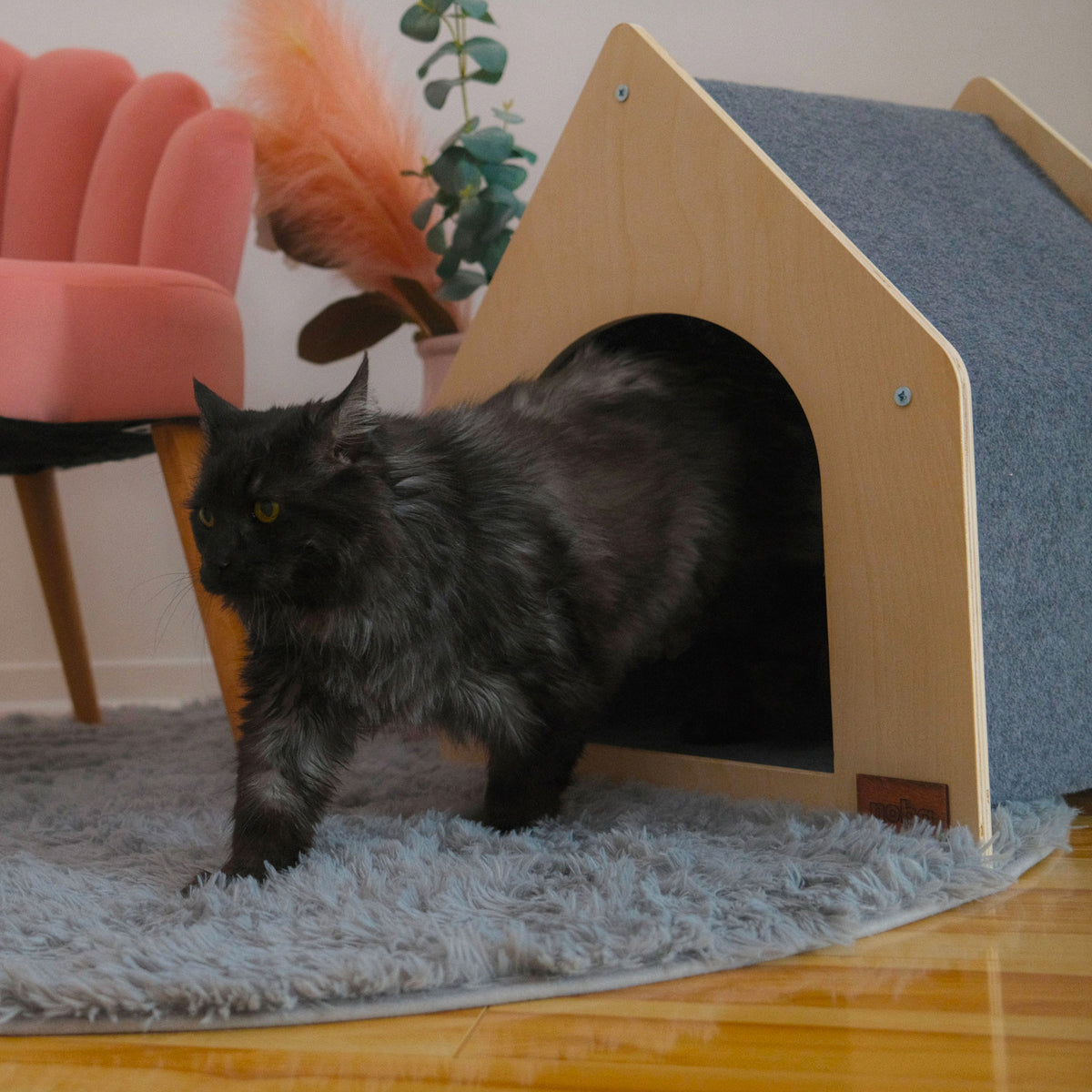 Cat standing next to a wooden pet house on a rug with a pink chair and plant in the background.