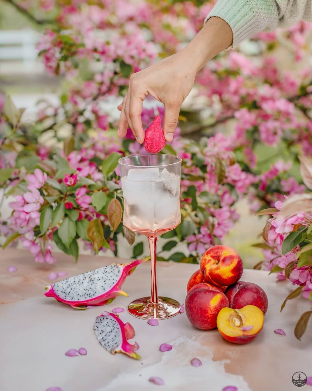 Hand dipping a pink flower into a glass of water with dragon fruit and peaches on a floral background