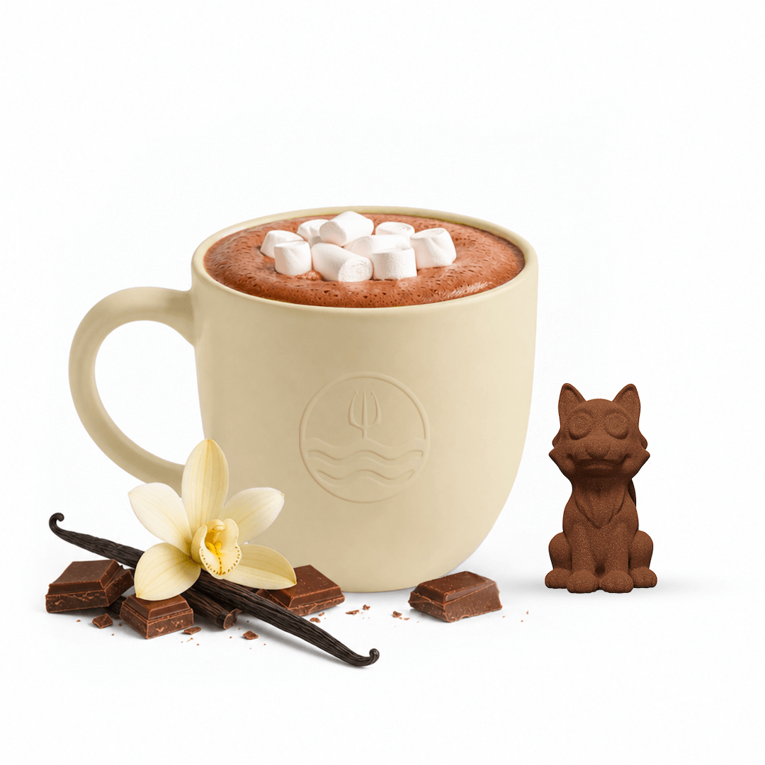 A beige ceramic mug filled with hot chocolate and topped with marshmallows, styled with chocolate pieces, a vanilla flower, and a small chocolate cat figurine on a white background.