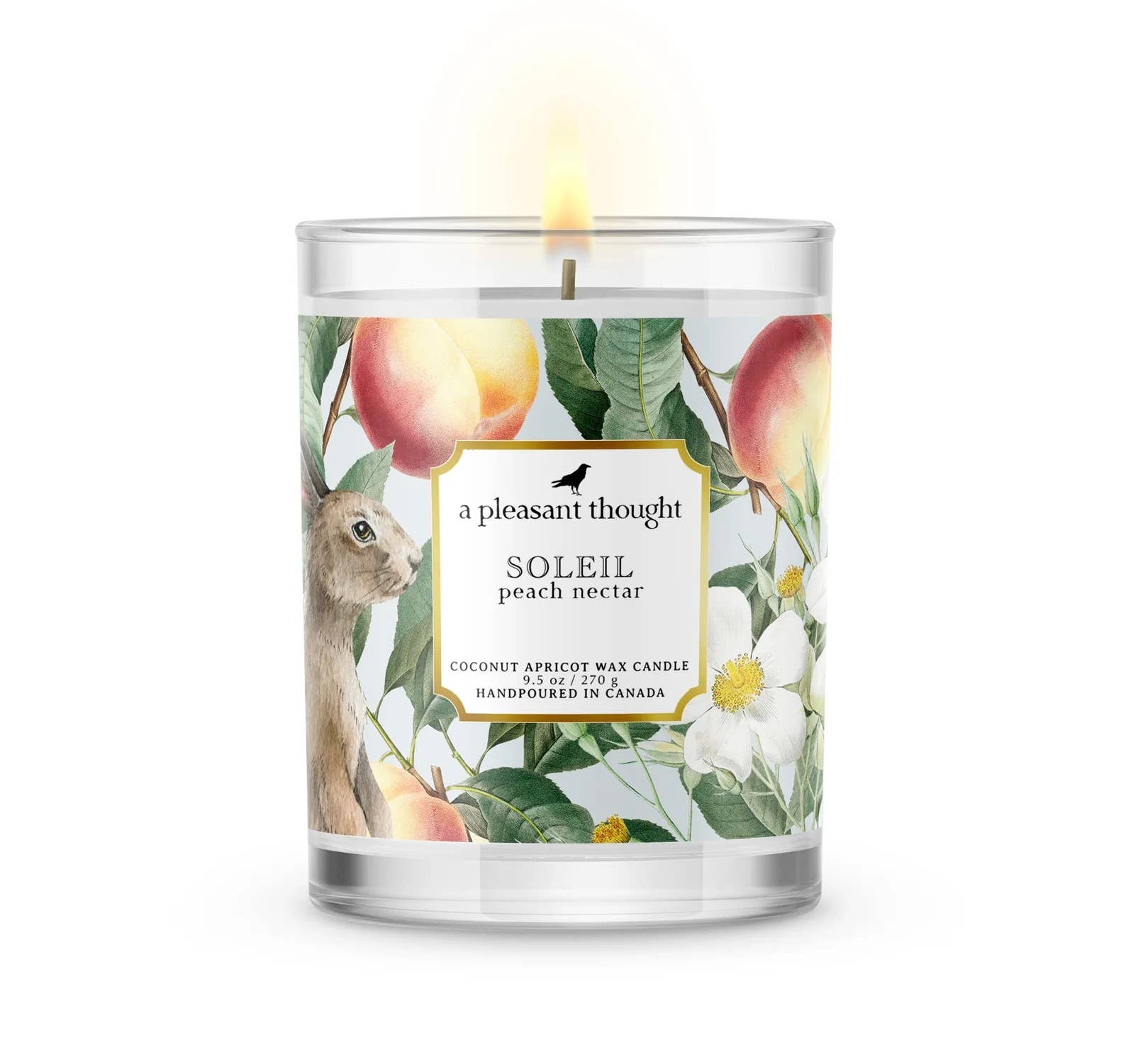 Handpoured 60 hour votive Apricot wax Soleil peach nectar candle by A Pleasant Thought