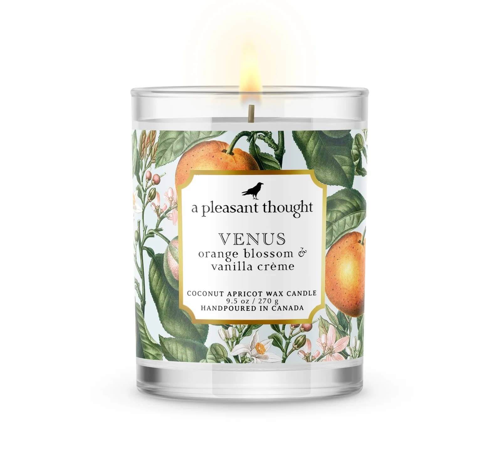Handpoured Apricot wax candle Venus fragrance Orange Blossom Vanilla 