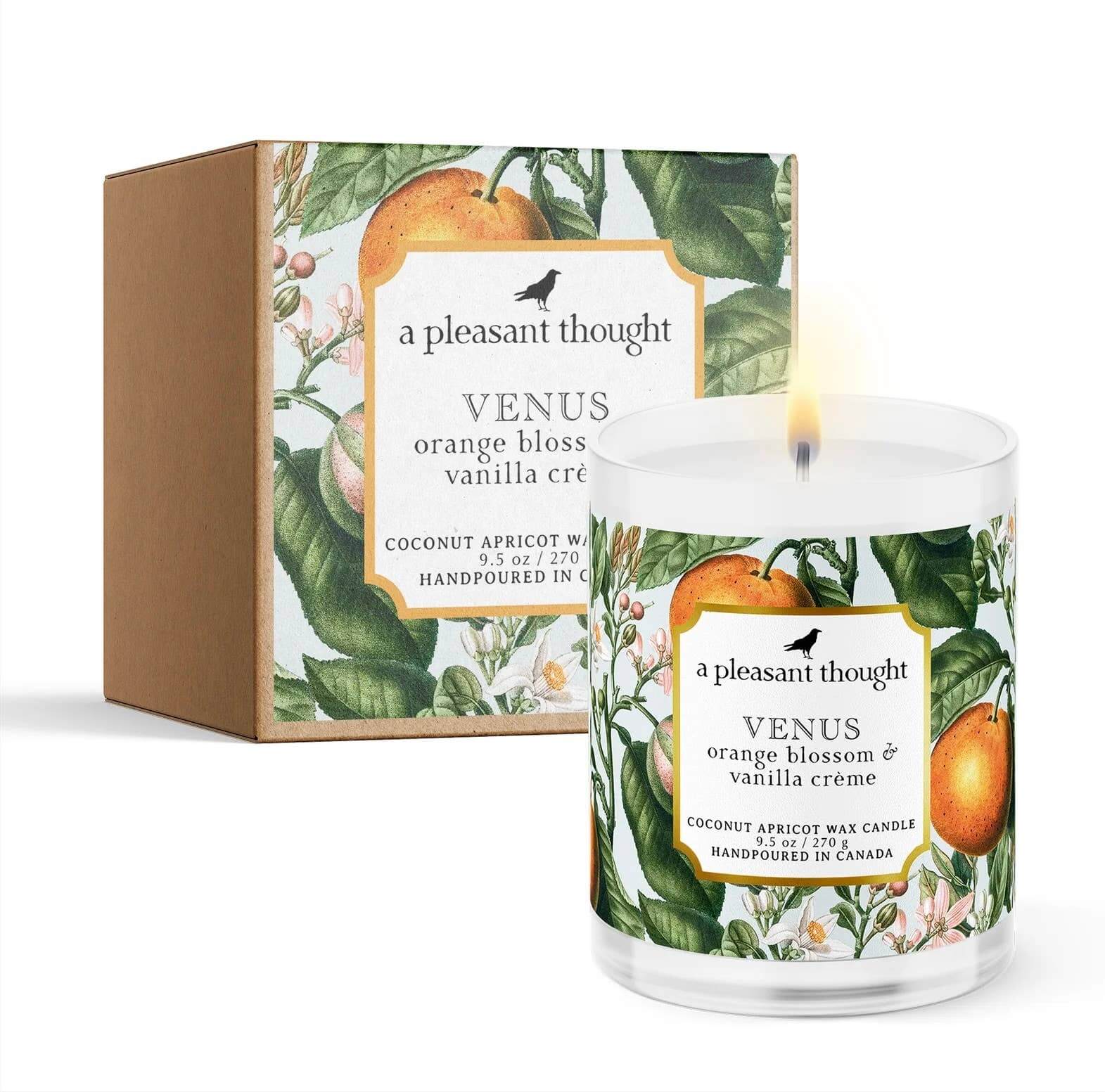 Handpoured Apricot wax candle Venus fragrance Orange Blossom Vanilla Boxed set