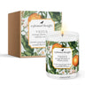Handpoured Apricot wax candle Venus fragrance Orange Blossom Vanilla Boxed set