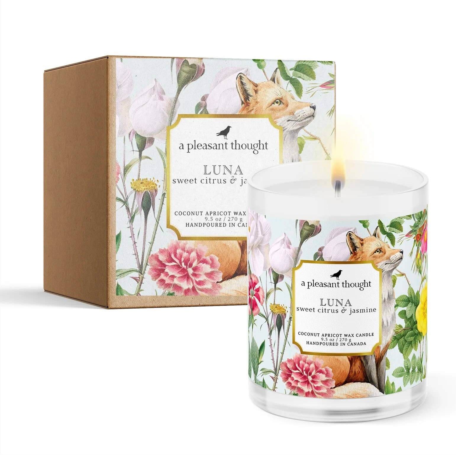 Handpoured Apricot wax candle in Luna fragrance citrus and jasmine by A Pleasant Thought with box