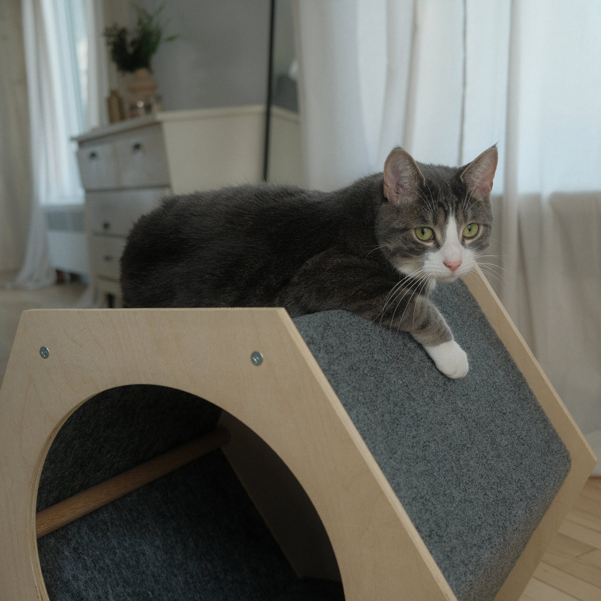 Cat lounging on a wooden and gray cushioned cat shelf in a home setting.