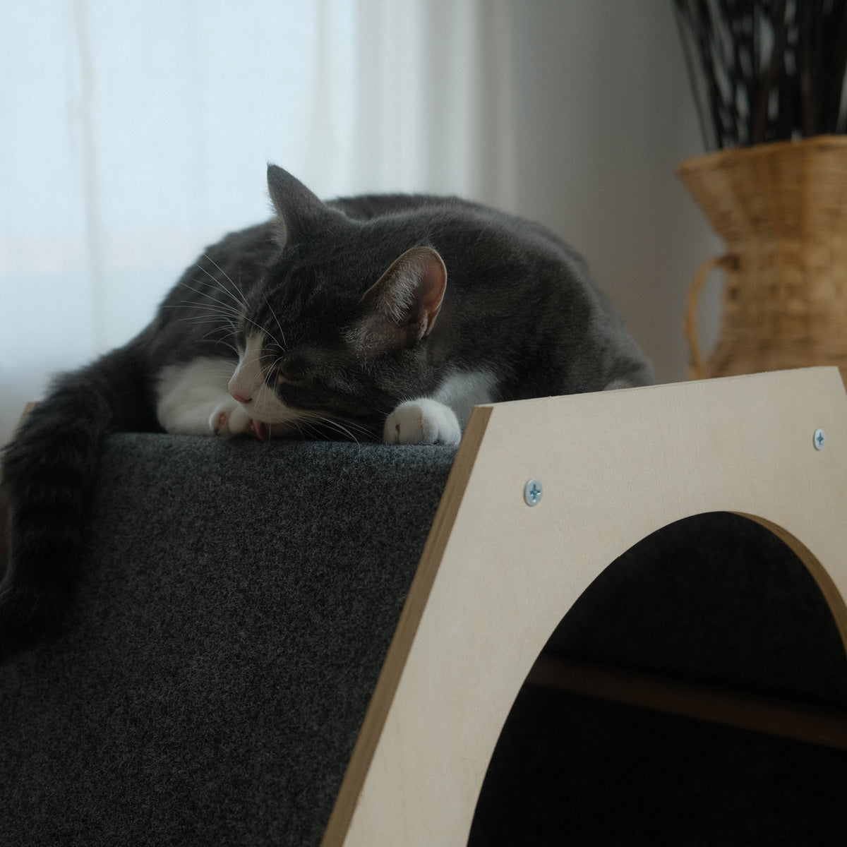 Gray and white cat resting on a cat tree with a blurred background