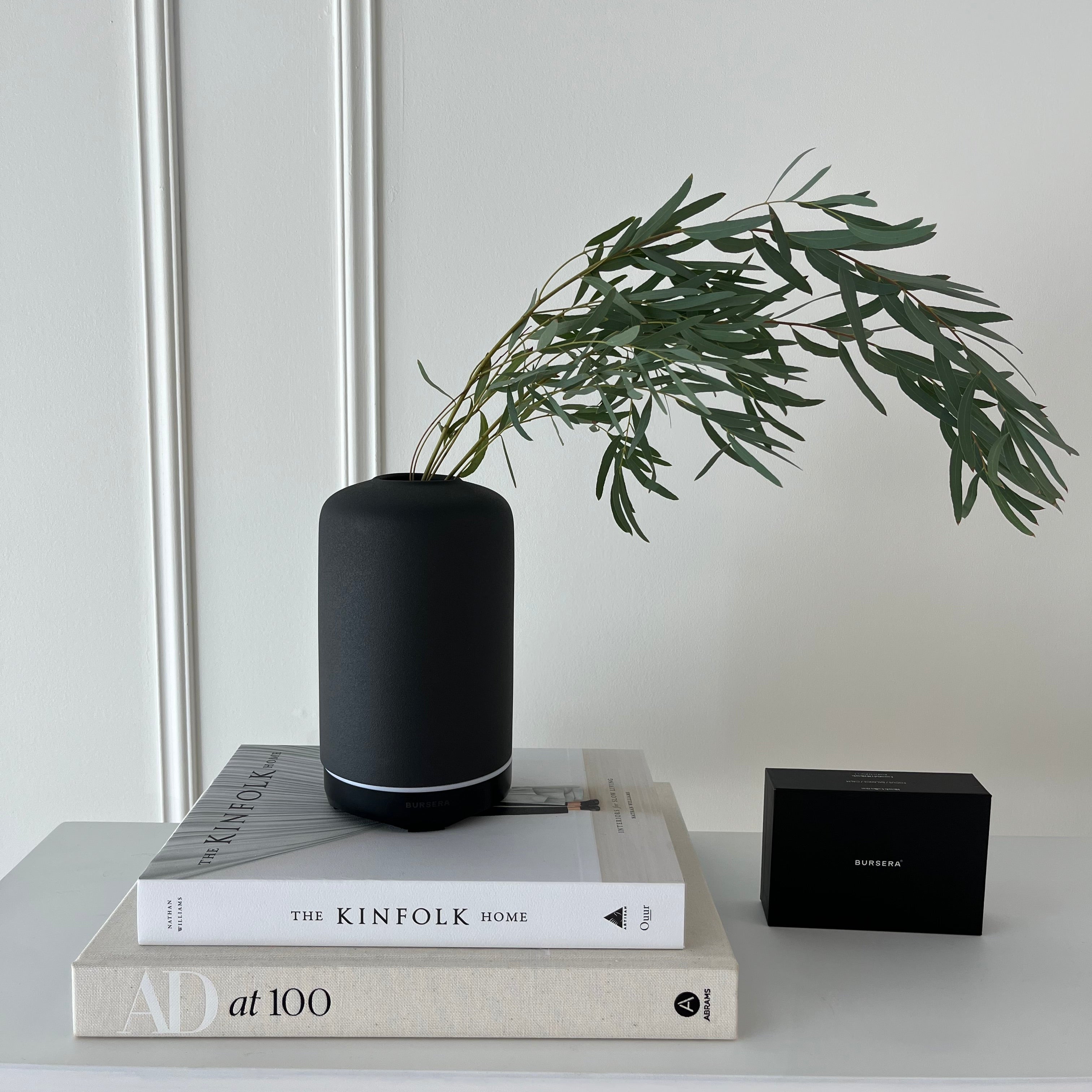 Black cylindrical device on books with a plant and electronic device in the background