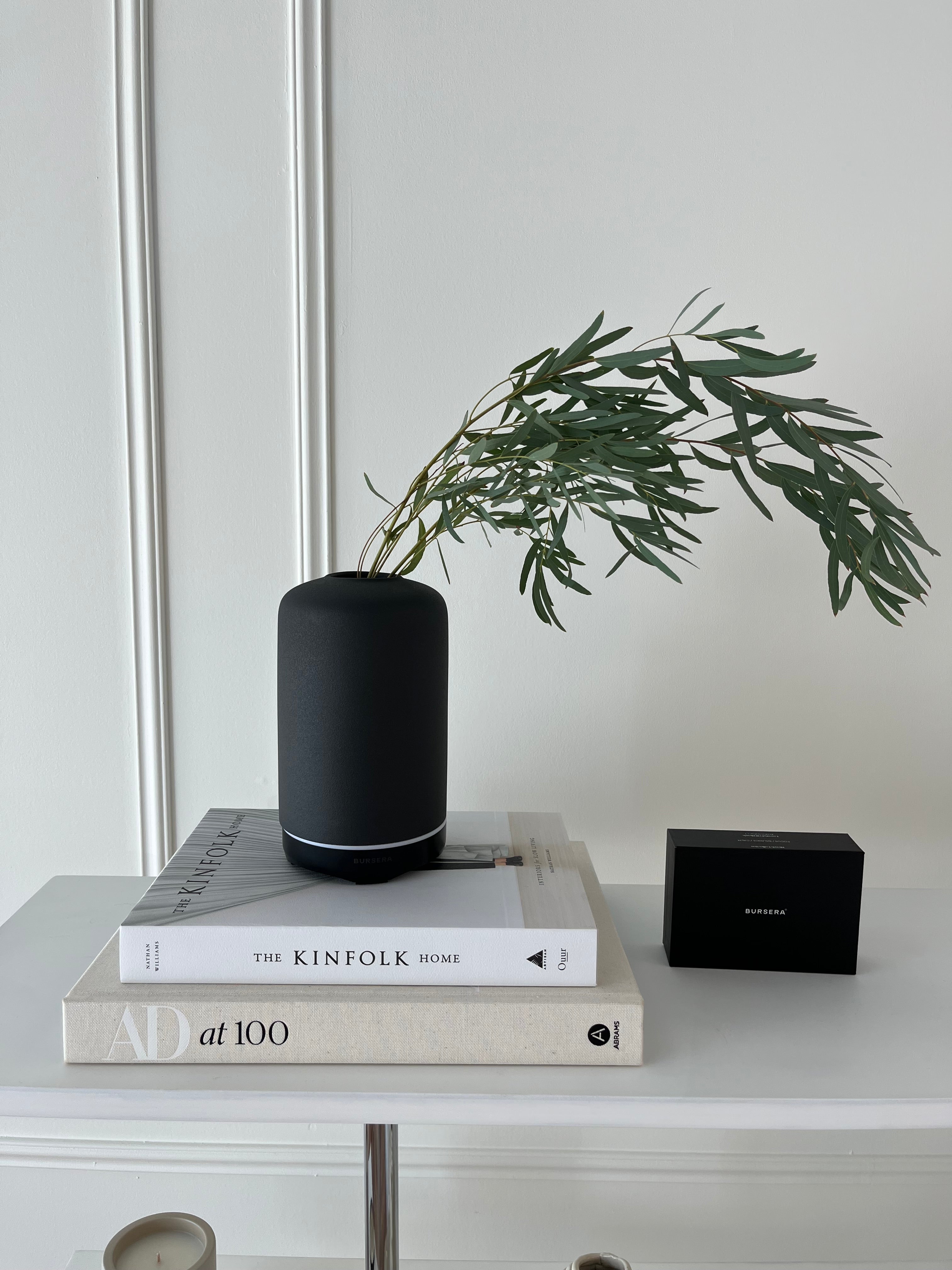 Black cylindrical device on books with a plant and electronic device in the background