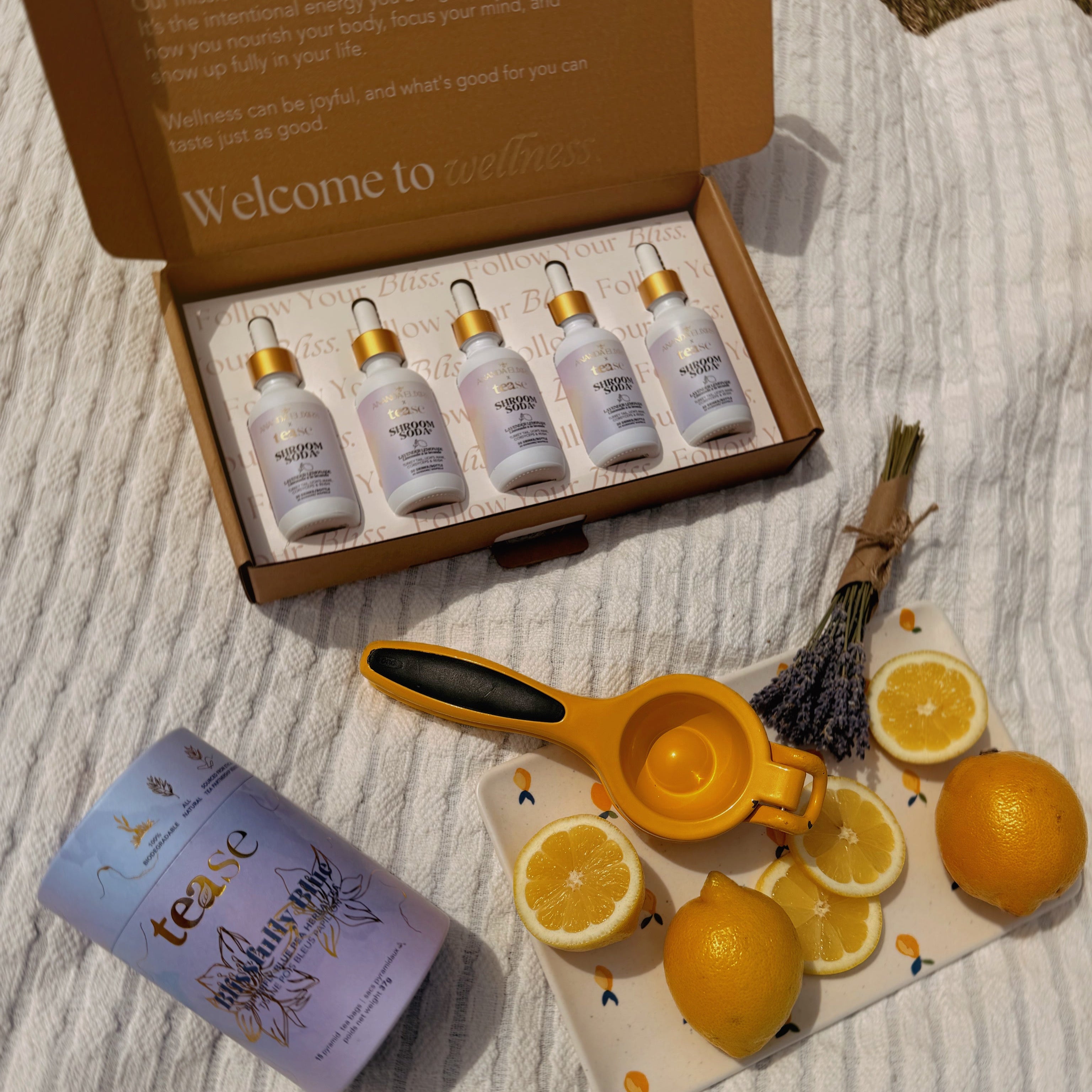 Ananda Elixirs Shroom Soda® – Lavender Lemonade – 5-bottle gift set unboxed with Tease tea, lemons, and lemon squeezer
