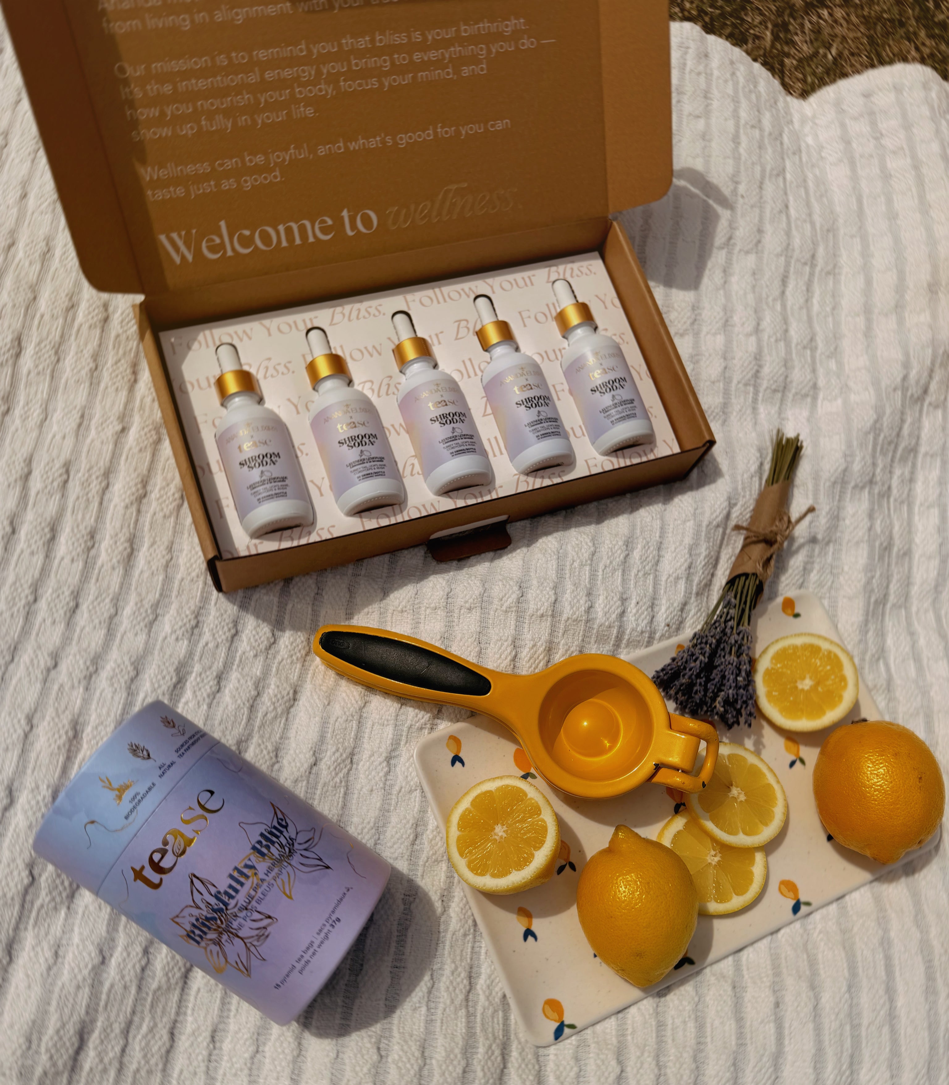 Ananda Elixirs Shroom Soda® – Lavender Lemonade – 5-bottle gift set unboxed with Tease tea, lemons, and lemon squeezer