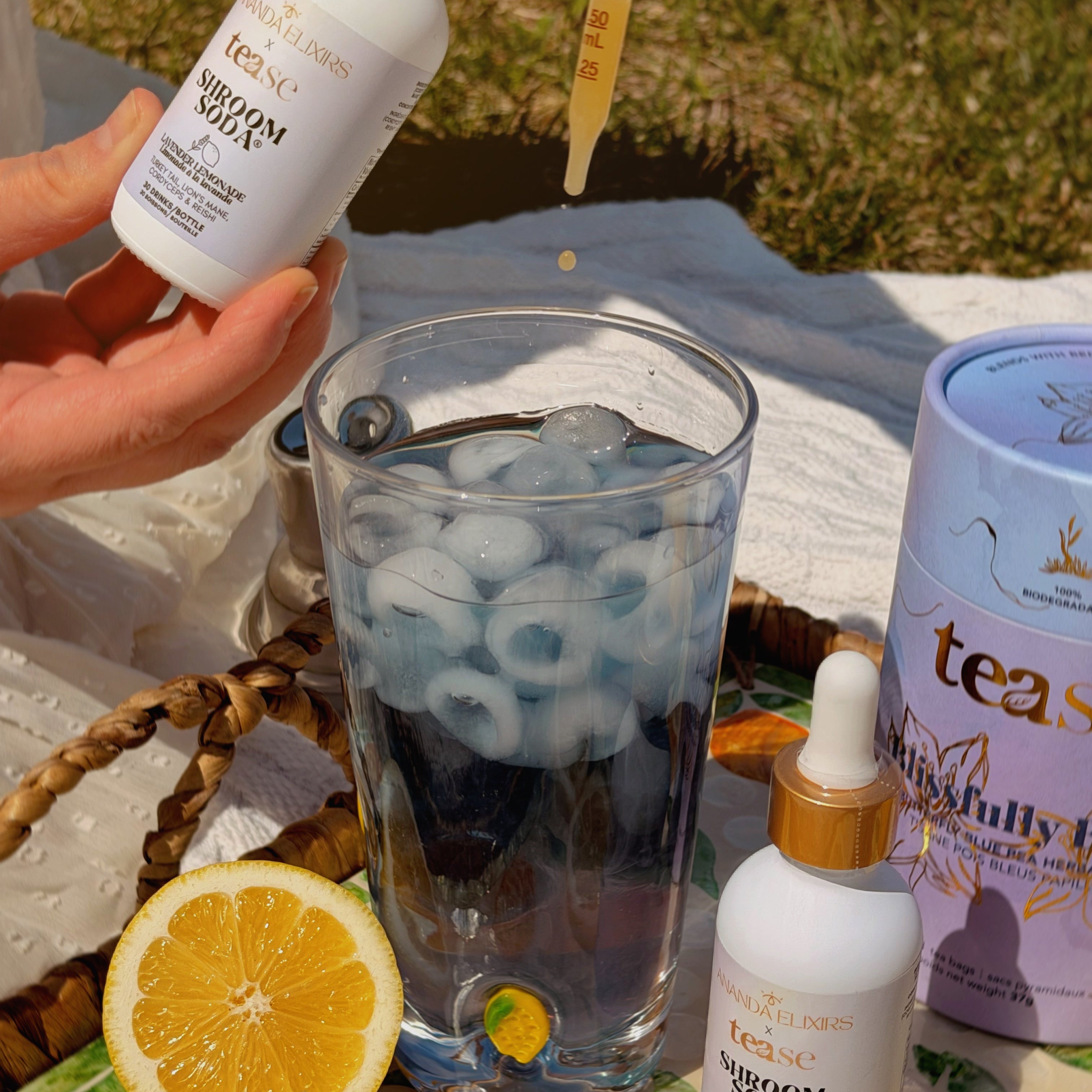 Ananda Elixirs Shroom Soda® – Lavender Lemonade – Person dropping Shroom Soda into iced blue mocktail outdoors with Tease tea canister