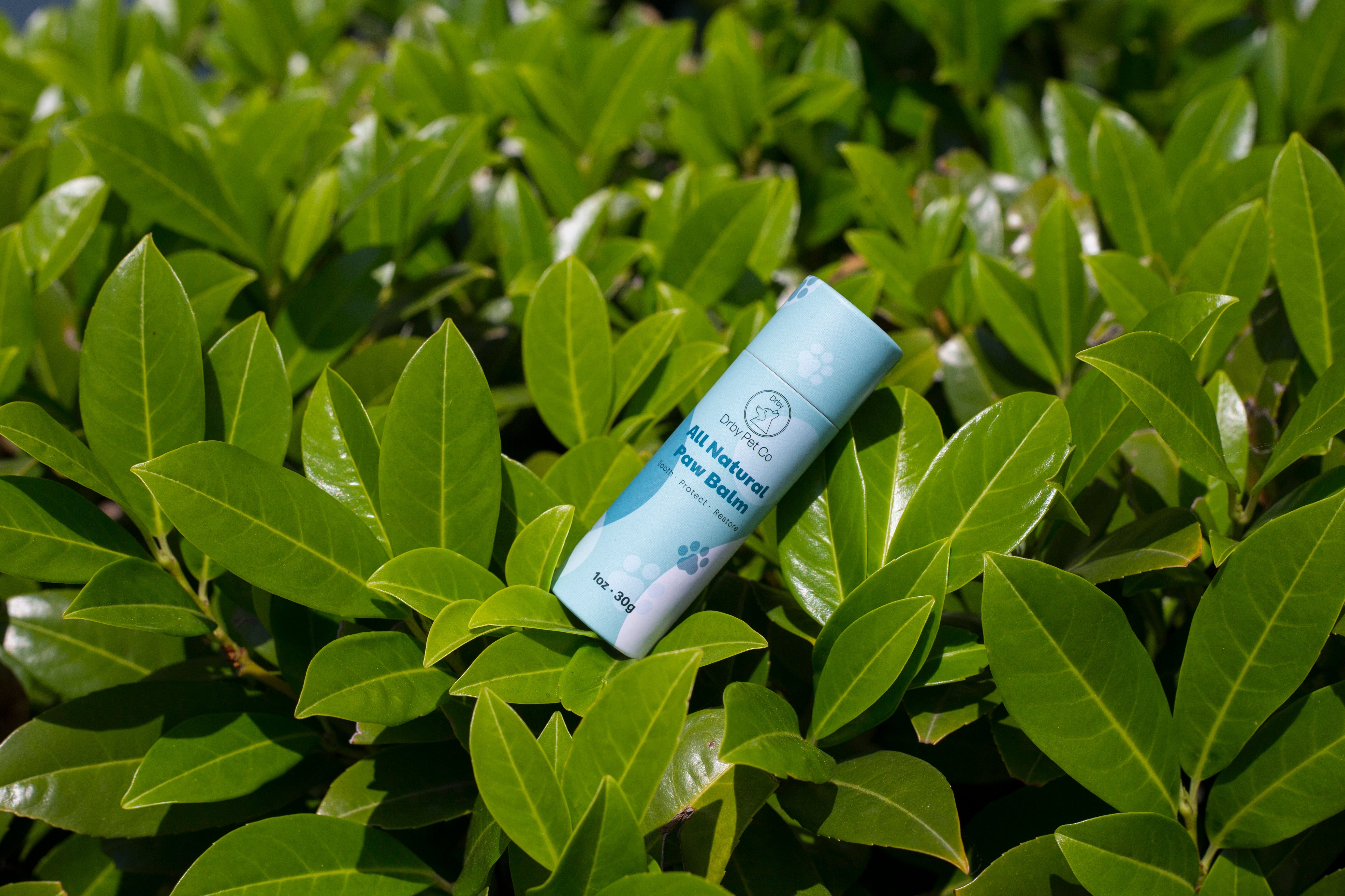 Drby Pet Co natural paw balm