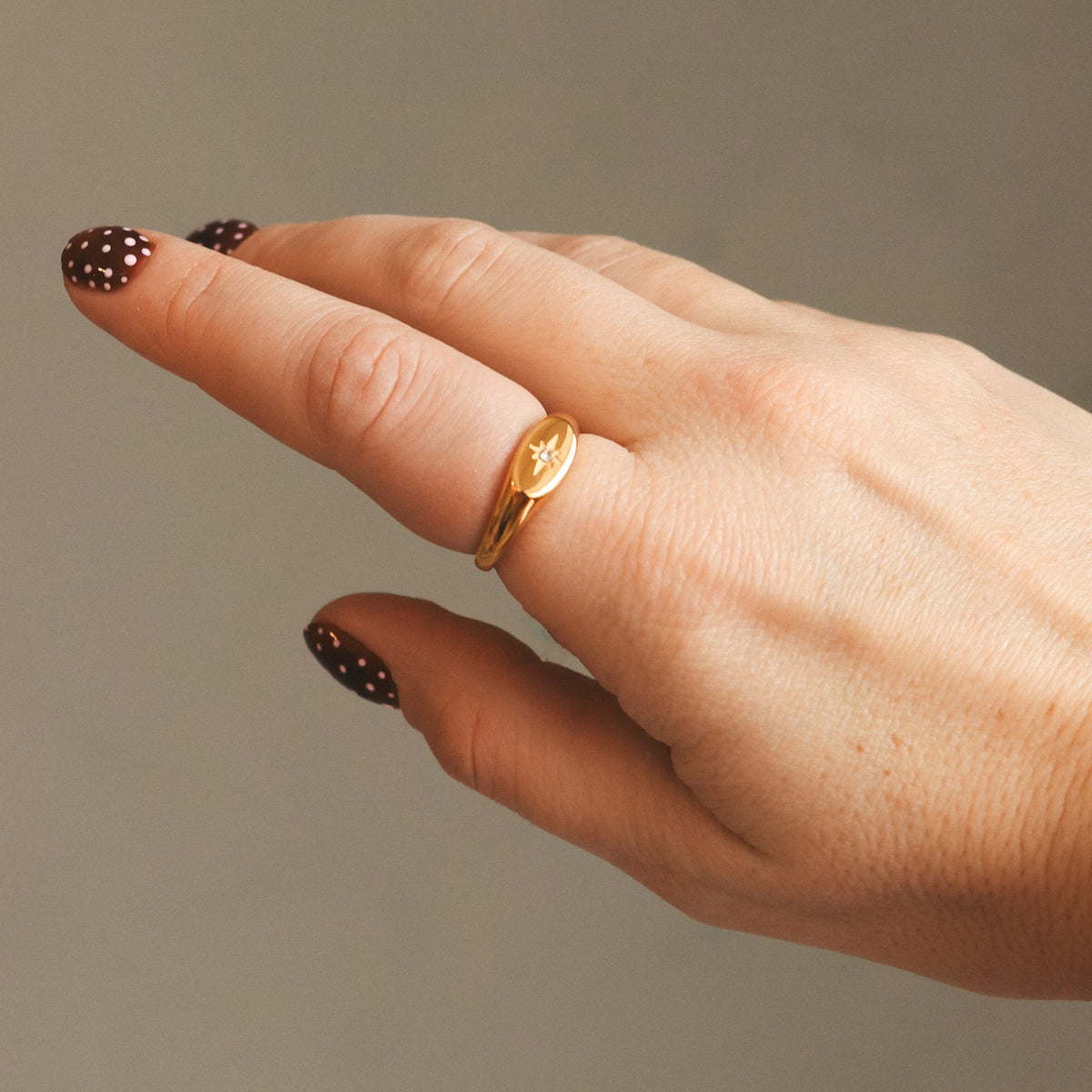 Signet Ring – La Tillia, Gold-Plated Star & Zircon | HoraceJewelry hand