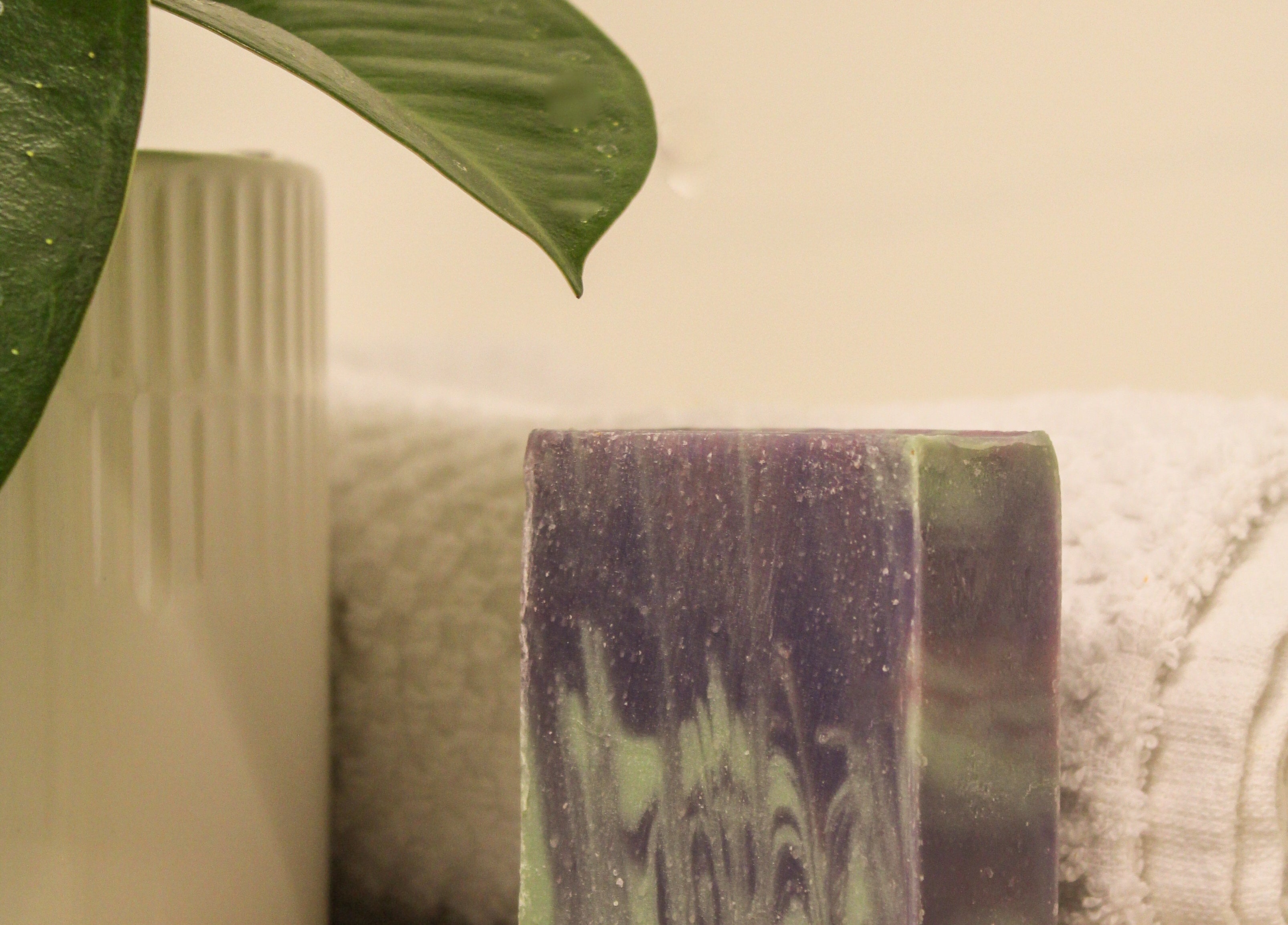 Bar of soap with green and purple design on a textured surface with a plant leaf and vase in the background.