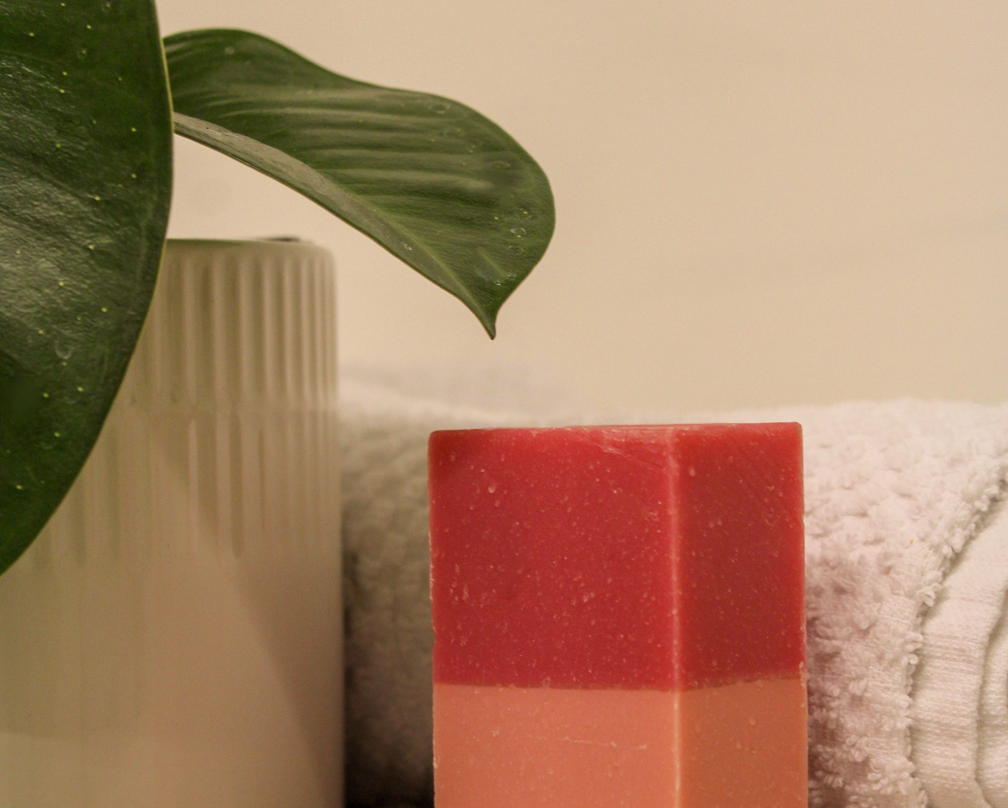 Red and pink soap bar on a towel with a plant and vase in the background