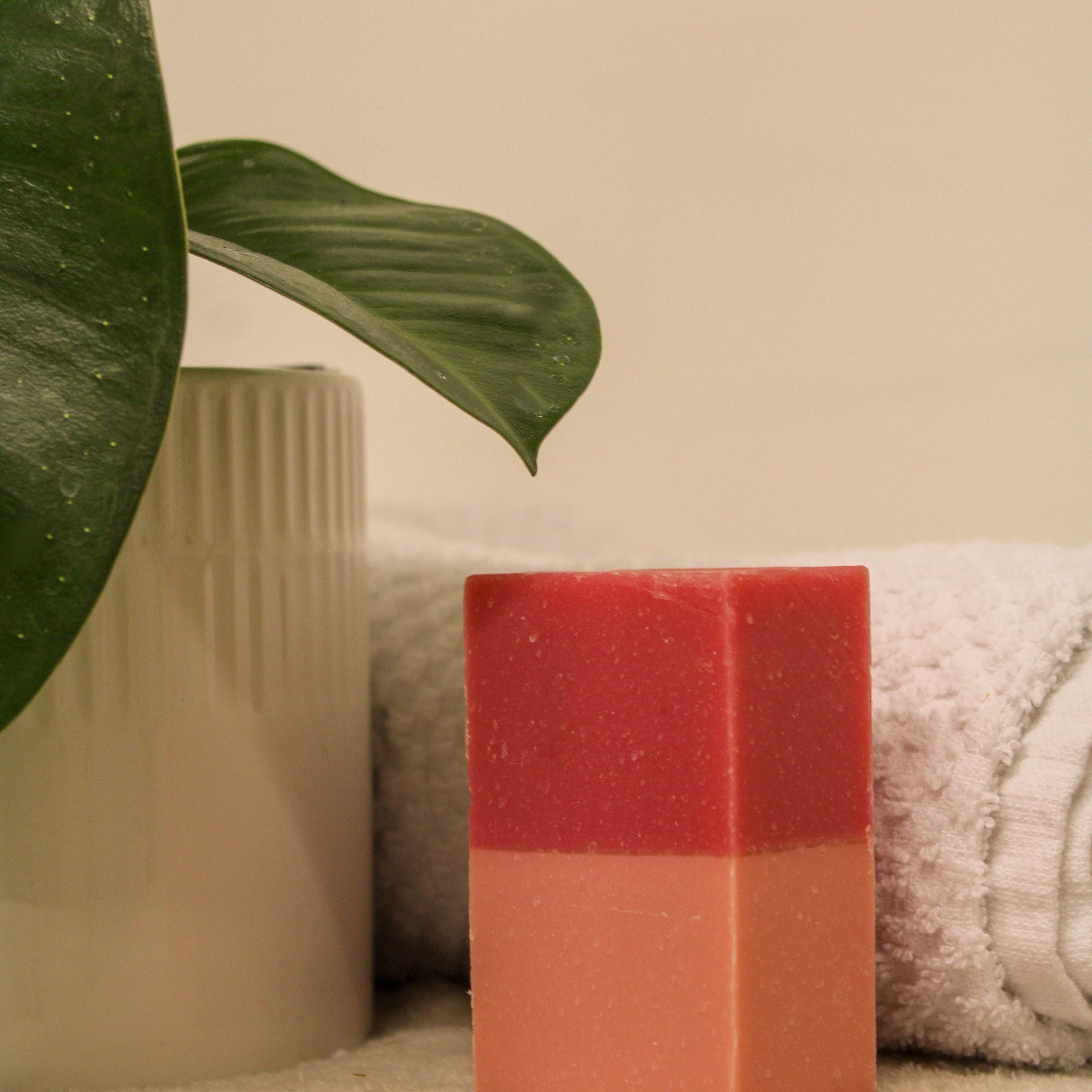 Red and pink soap bar on a towel with a plant and vase in the background
