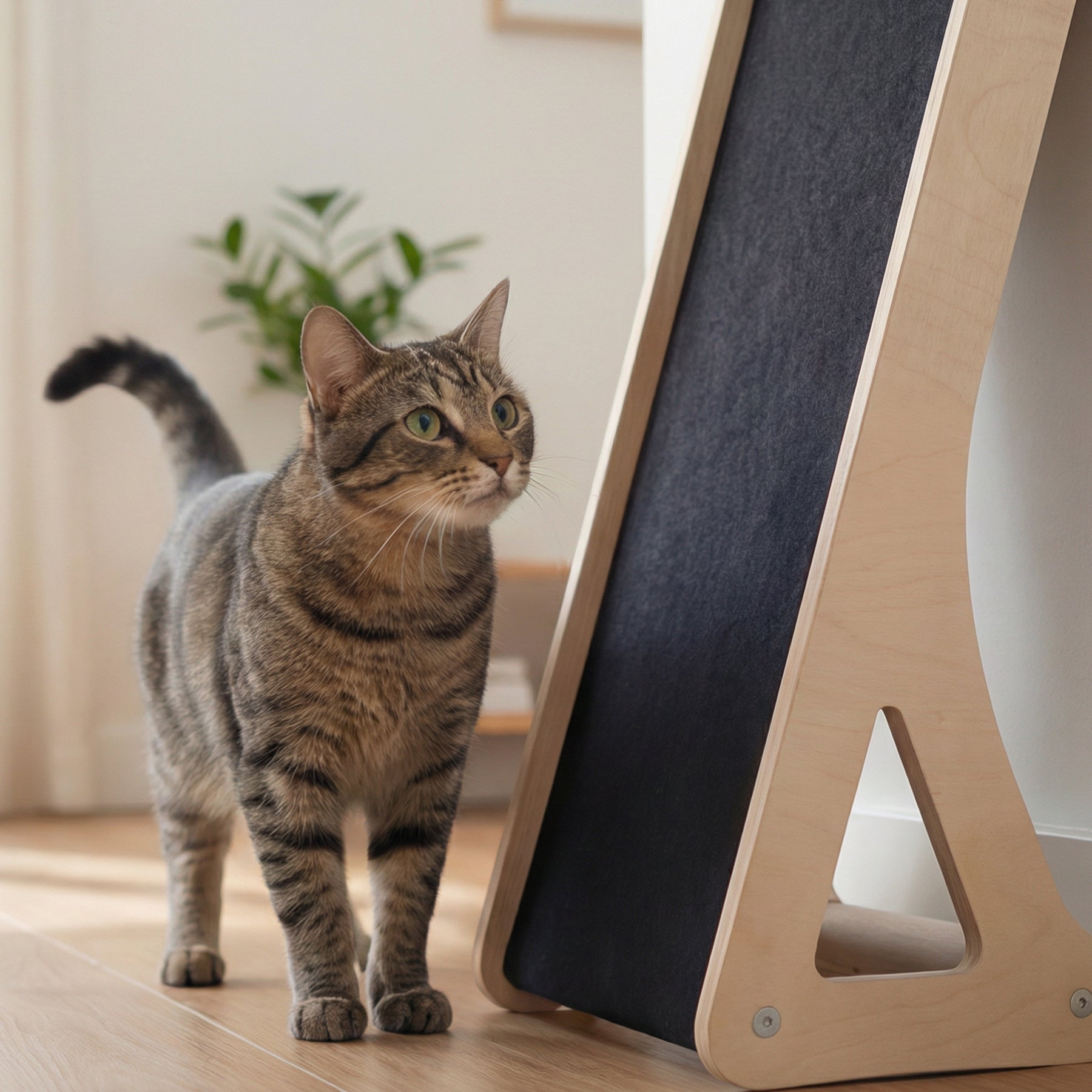 Cat standing next to a wooden and fabric cat shelf in a home setting