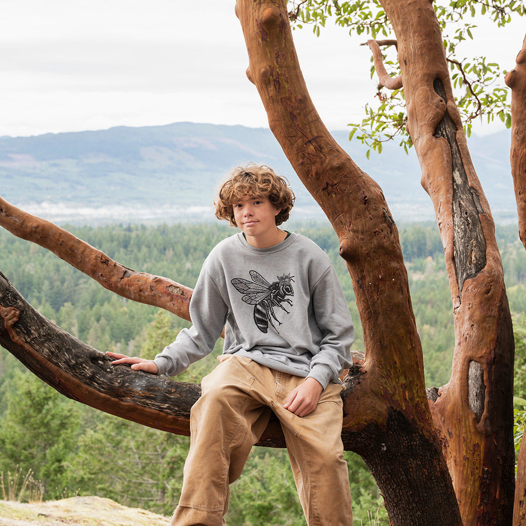 Person sitting in a large tree with a scenic landscape in the background