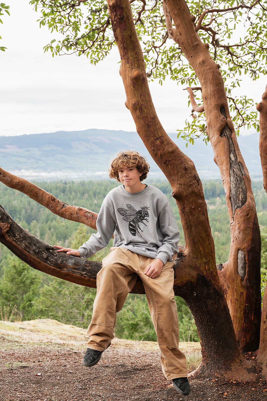 Person sitting in a large tree with a scenic landscape in the background