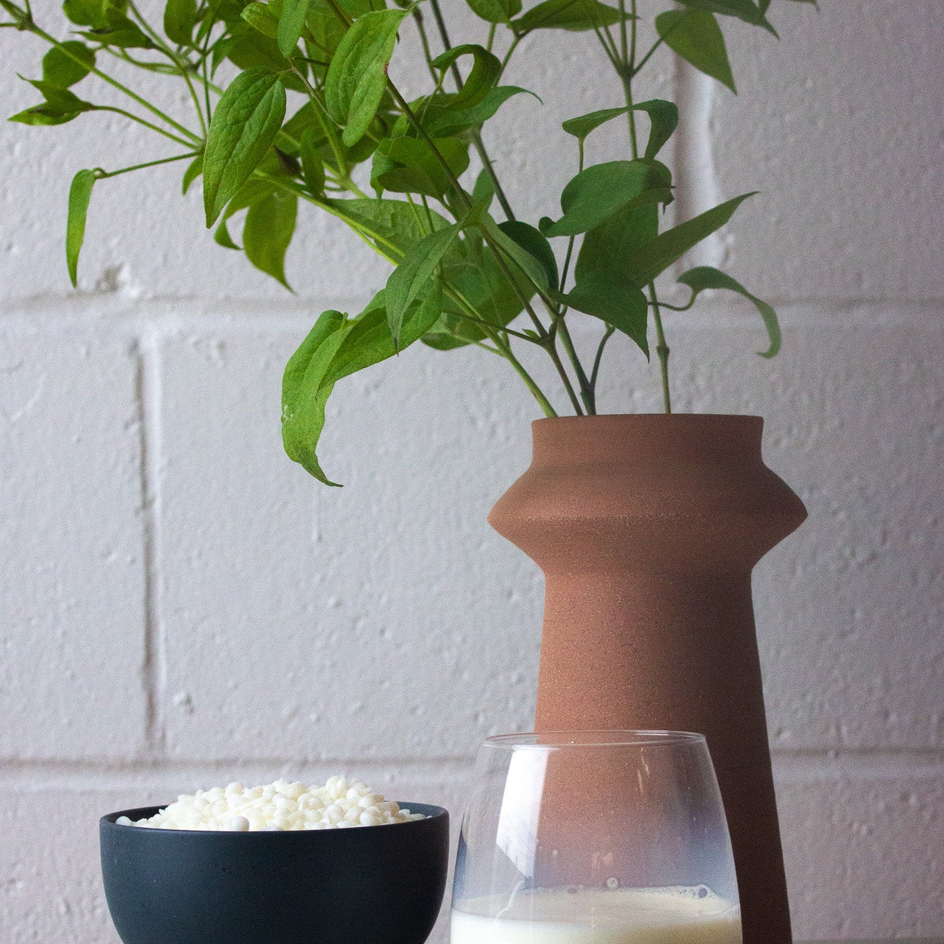 Terracotta vase with green plant, black bowl with white substance, and glass container on a light surface.