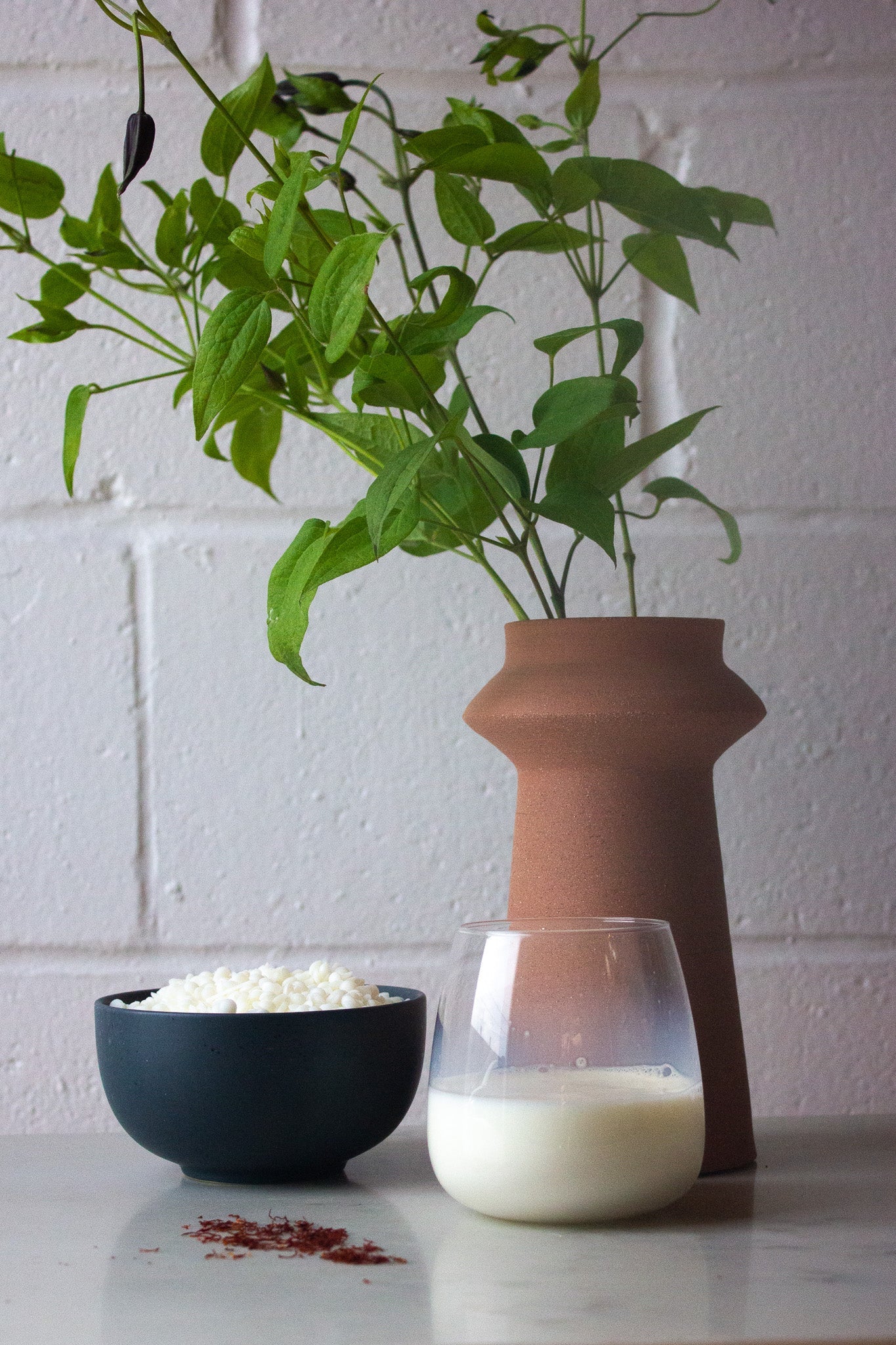 Terracotta vase with green plant, black bowl with white substance, and glass container on a light surface.