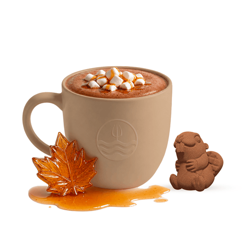 A beige ceramic mug filled with a hot chocolate or cocoa drink topped with mini marshmallows and caramel drizzle, styled with an amber maple leaf and a small brown squirrel figurine on a white background.