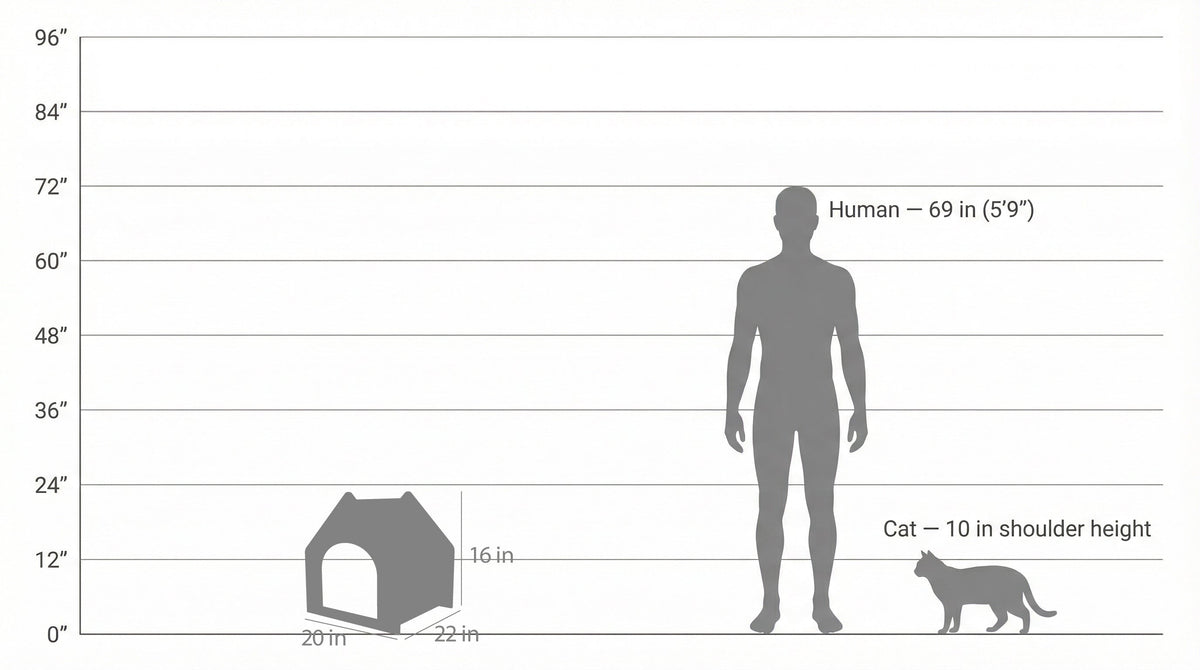Diagram comparing the height of a human, cat, and dog house on a scale.