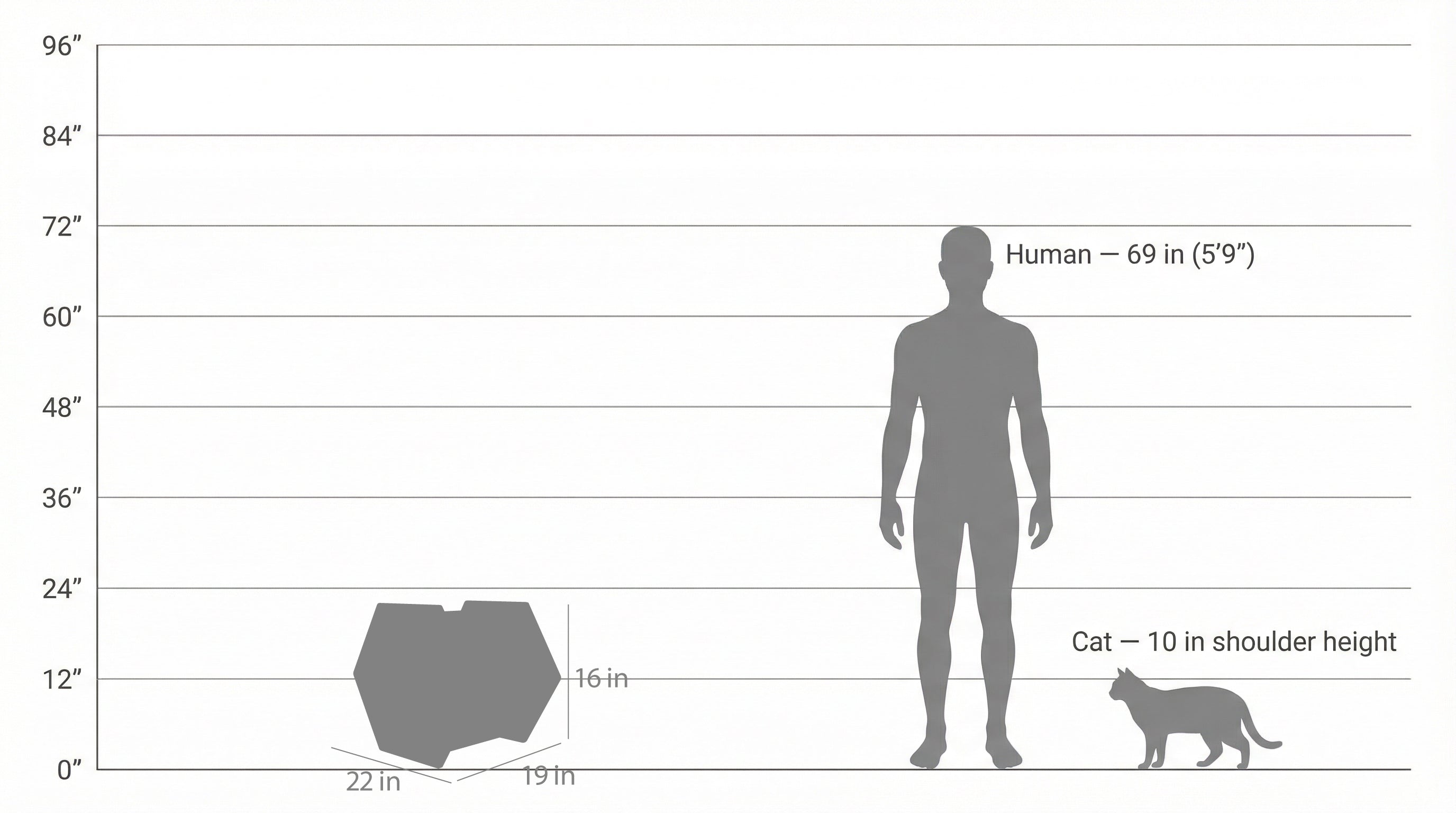 Diagram comparing the size of a hexagonal object, a human, and a cat using height measurements.