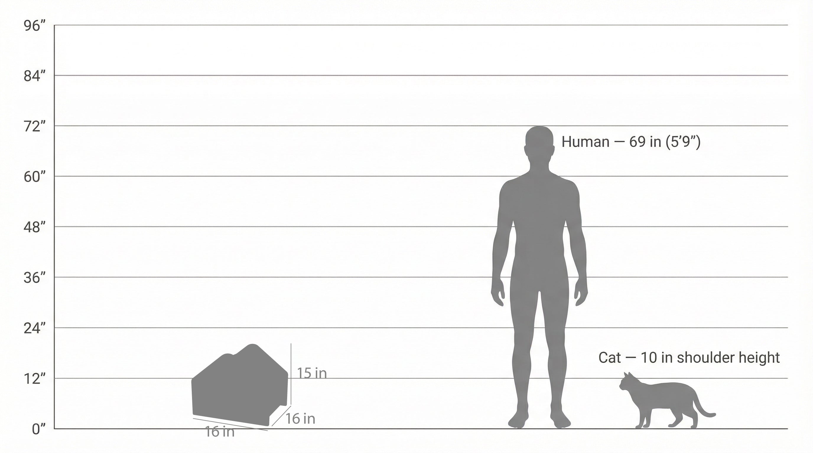 Chart comparing the size of a human, a cat, and a rock using height measurements.
