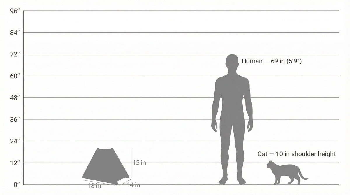 Chart comparing the size of a tent to a human and a cat on a white background