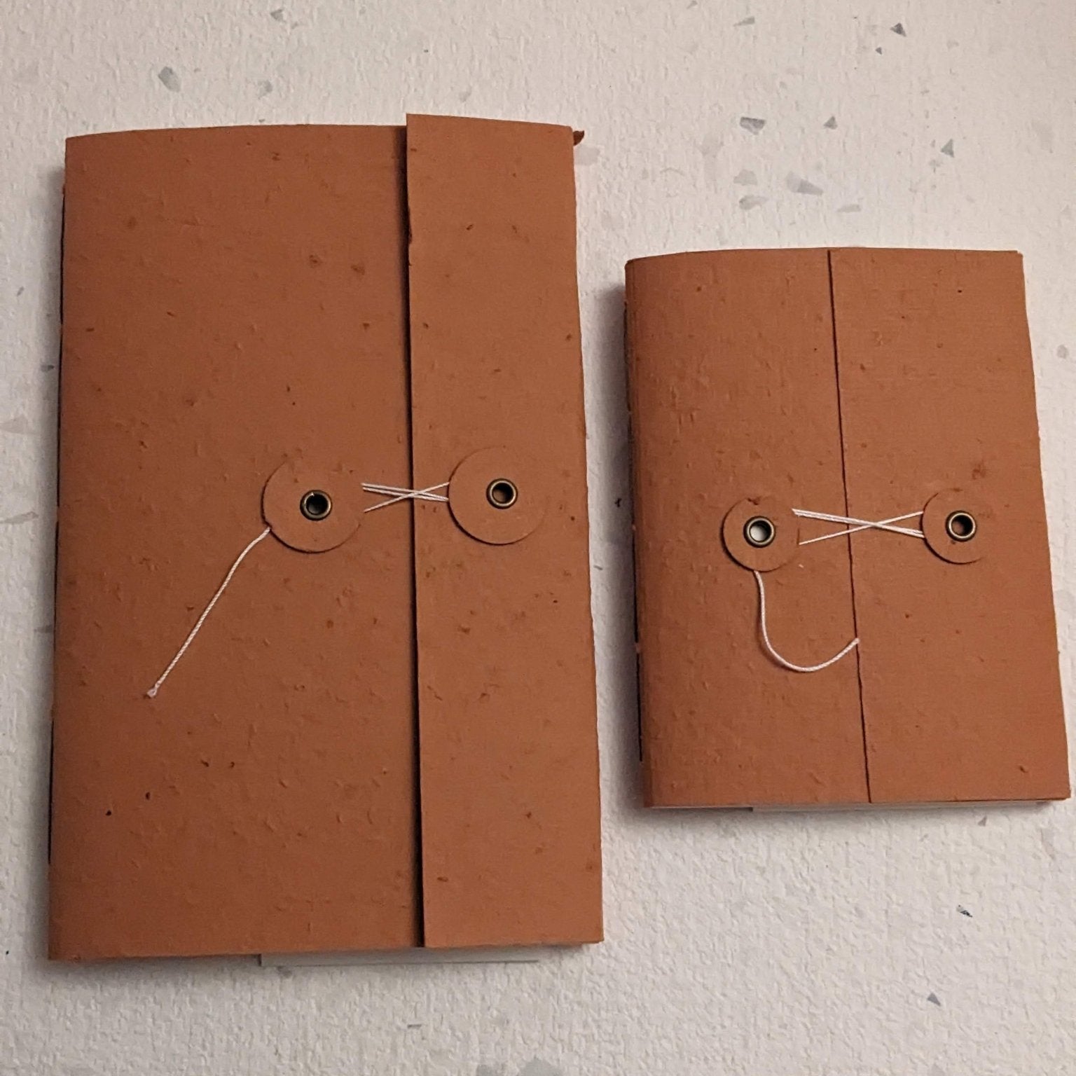 Two brown leather-bound notebooks with string closure on a textured grey background Creative Artifacts HQ plantable 