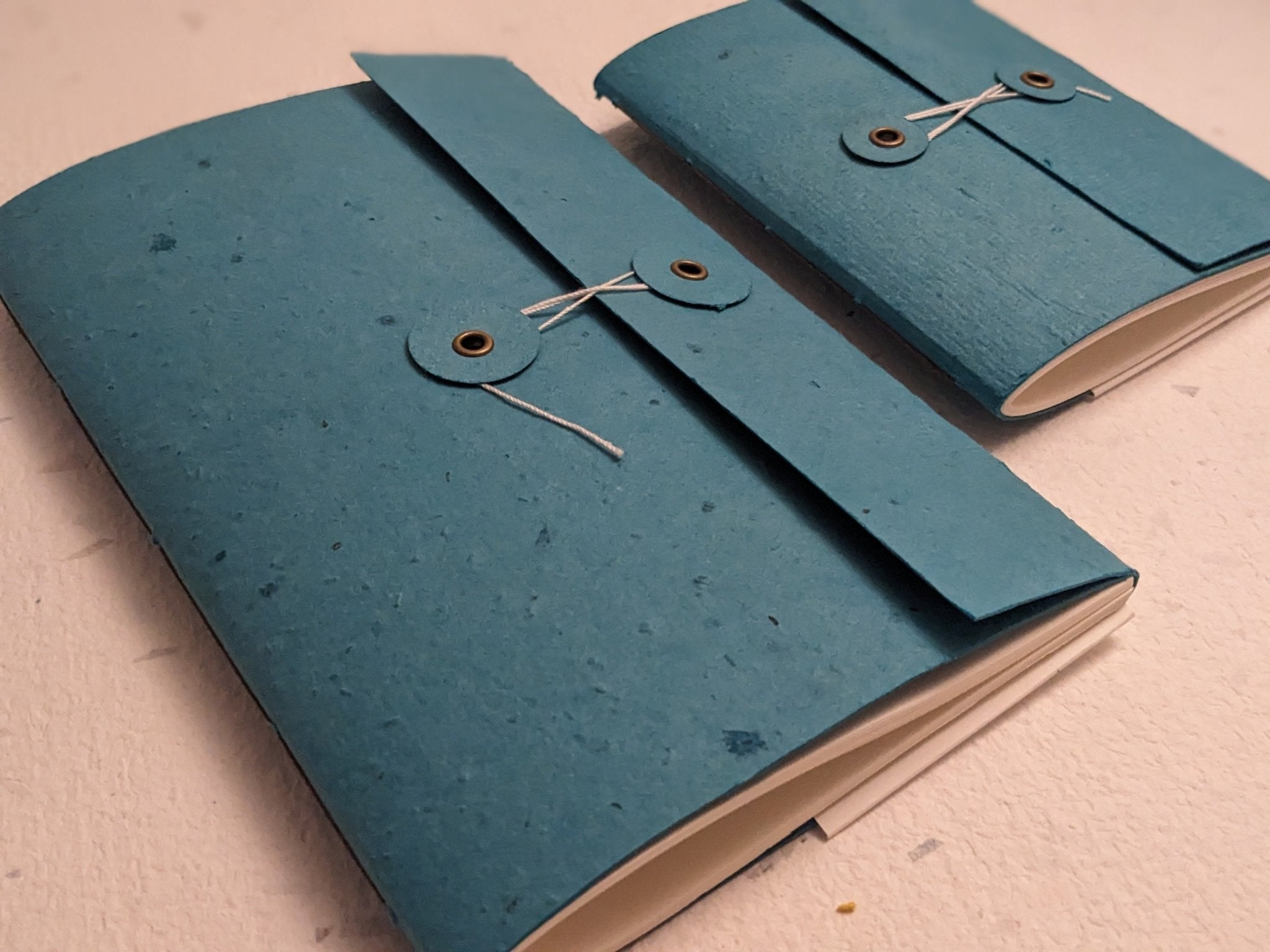 Creative Artifacts HQ plantable Two blue leather-bound notebooks with string ties on a beige background