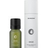 Bursera Palo Santo organic essential oil bottle and packaging on a white background