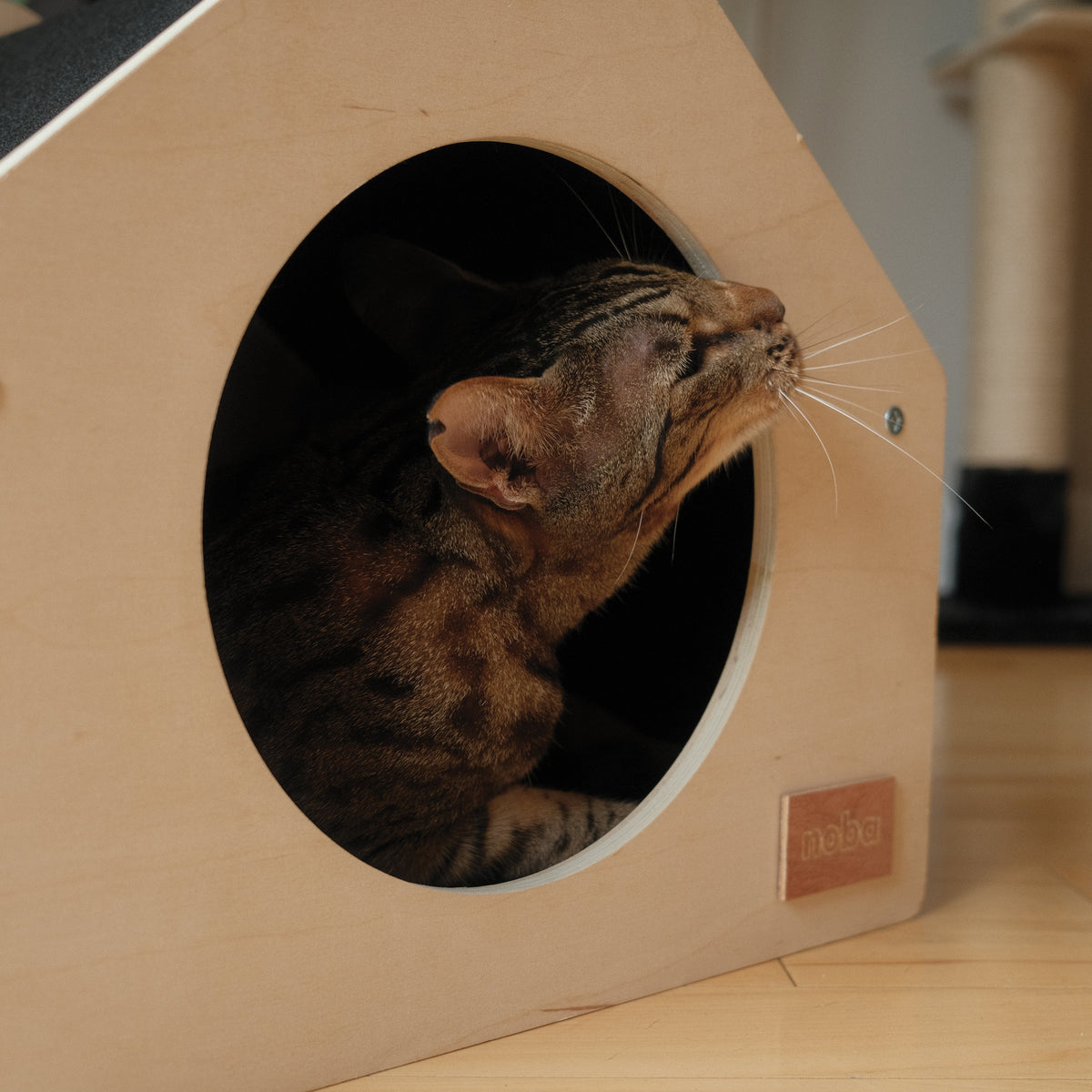 Cat peeking out from a wooden cat house with a brand label.